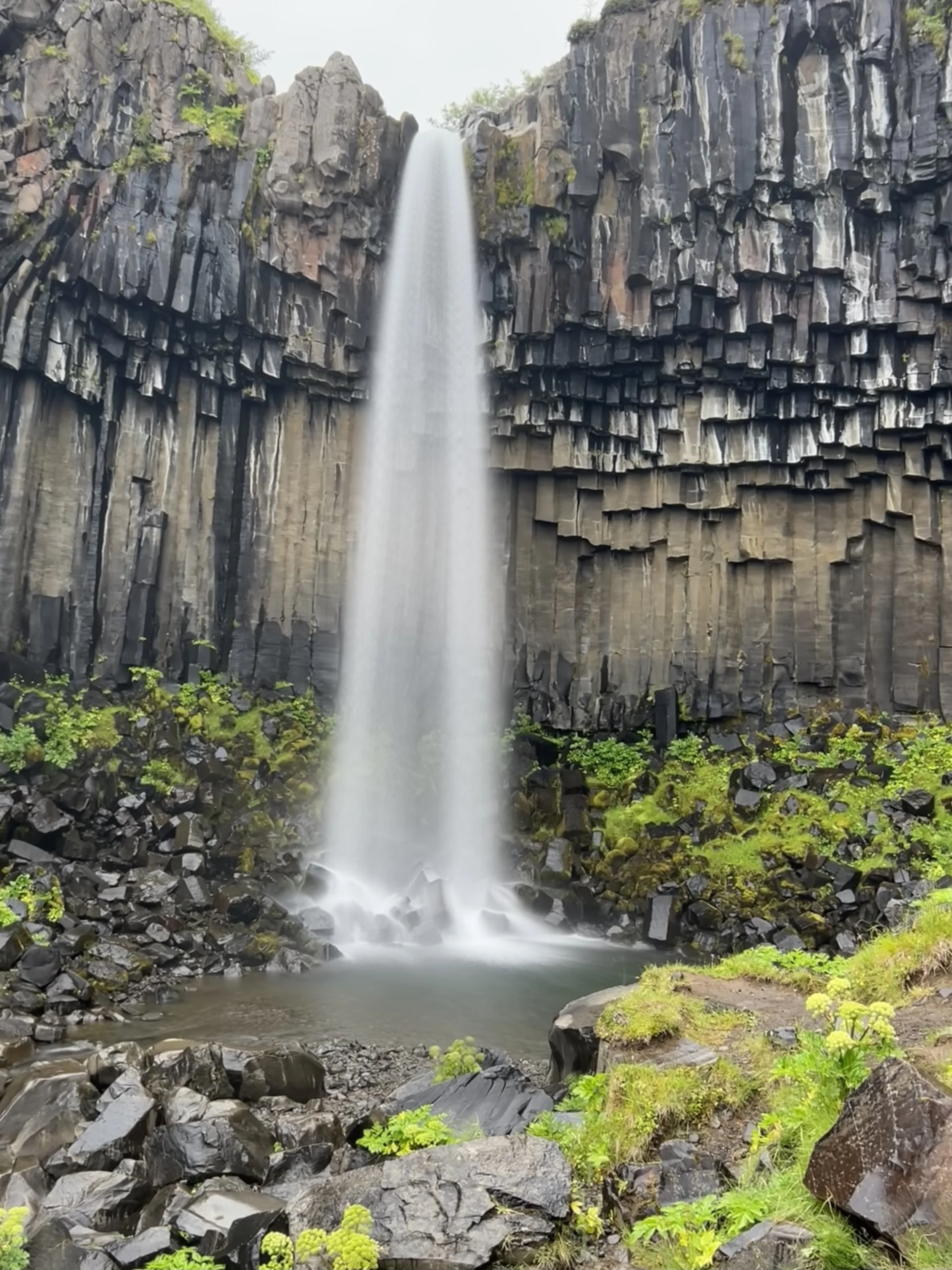 Svartifoss Iceland Svartifoss Iceland