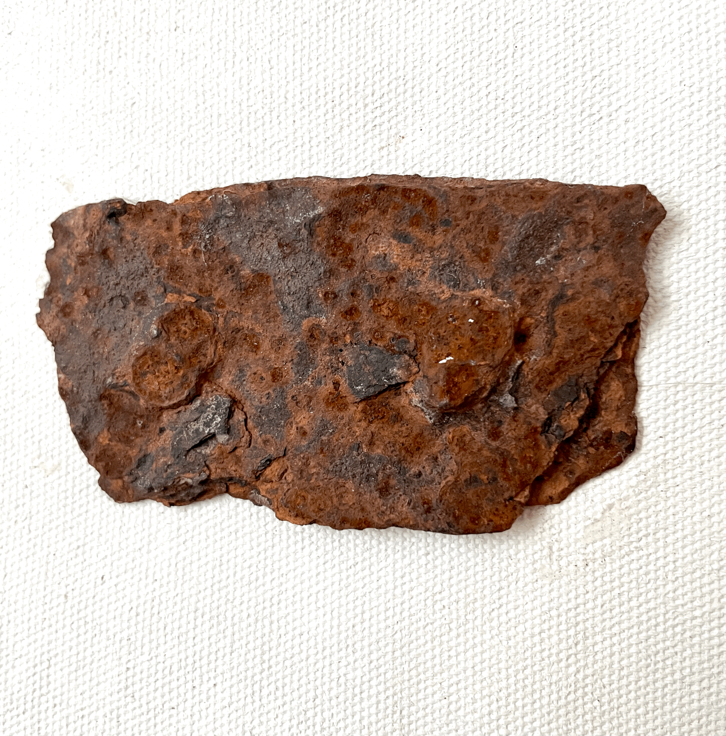 rusty metal found object fine art (Copy)