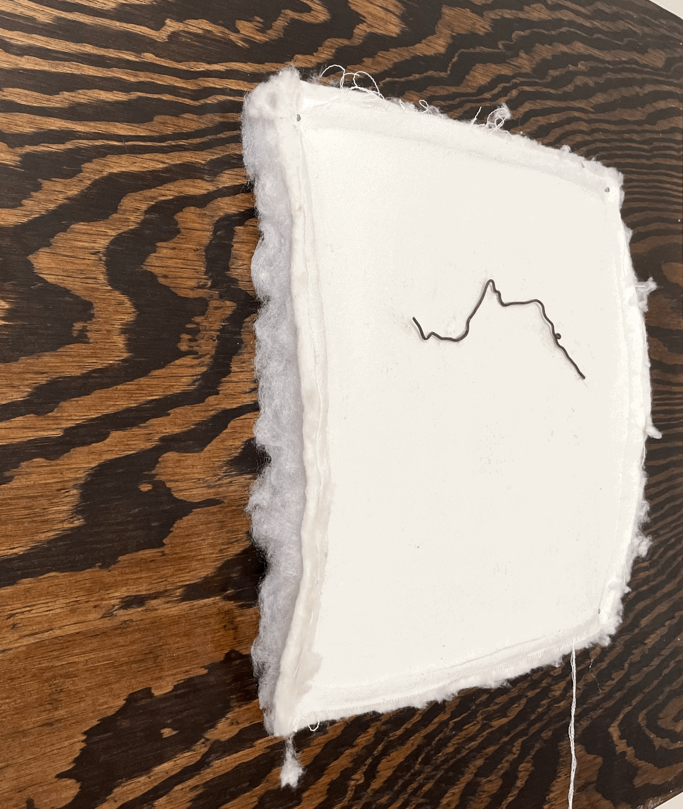 modern art found object wire wall hanging (Copy)