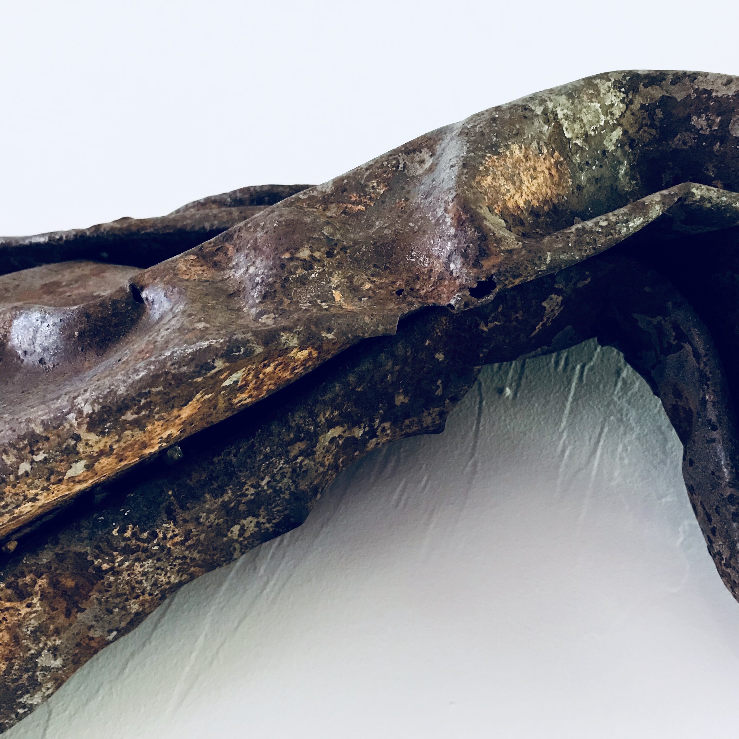 rusty metal found object fine art (Copy)