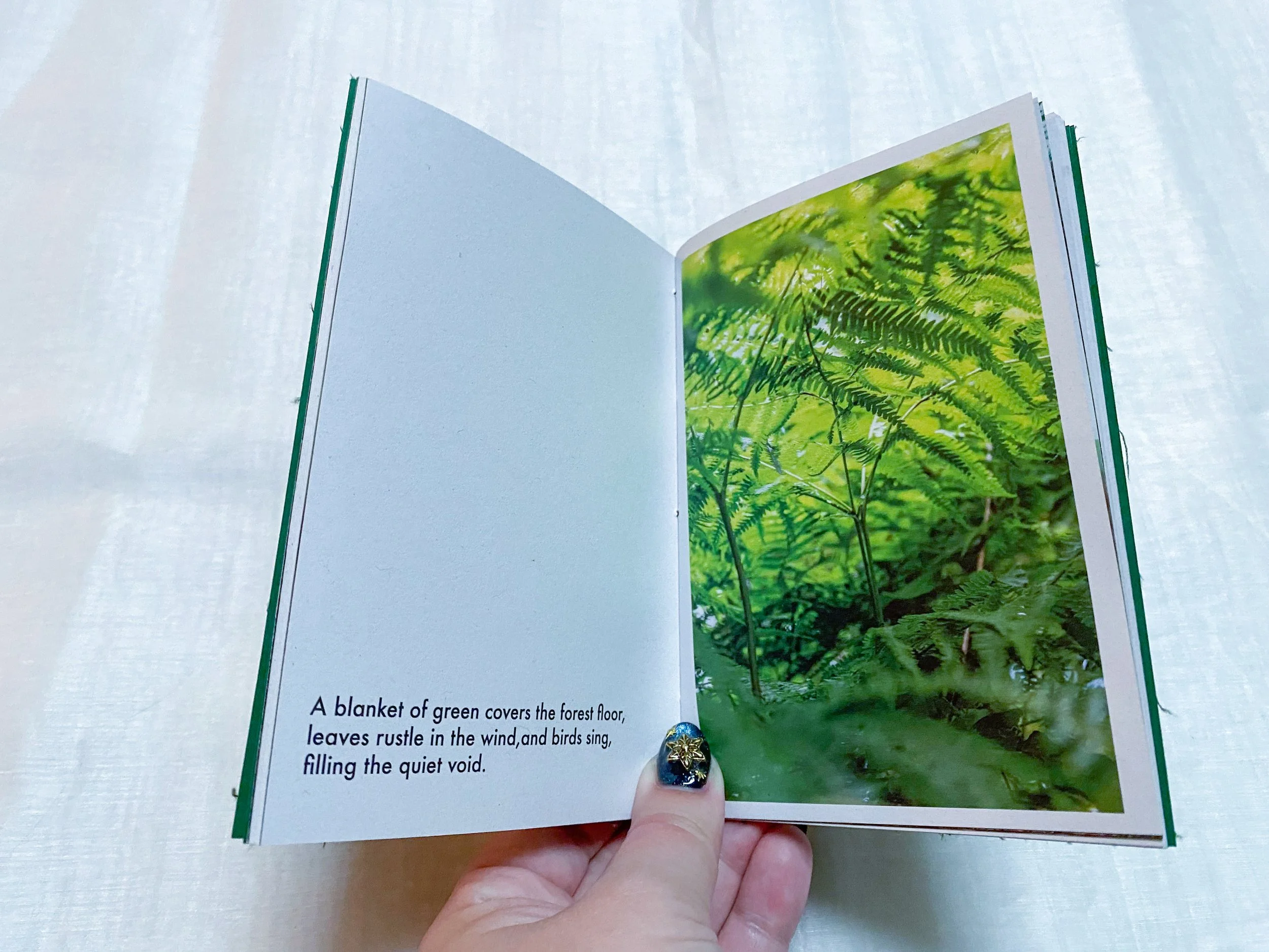 Wandering Woods book detail #2