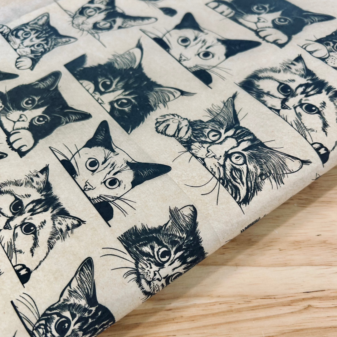 Elan Transfers - Zany Cats