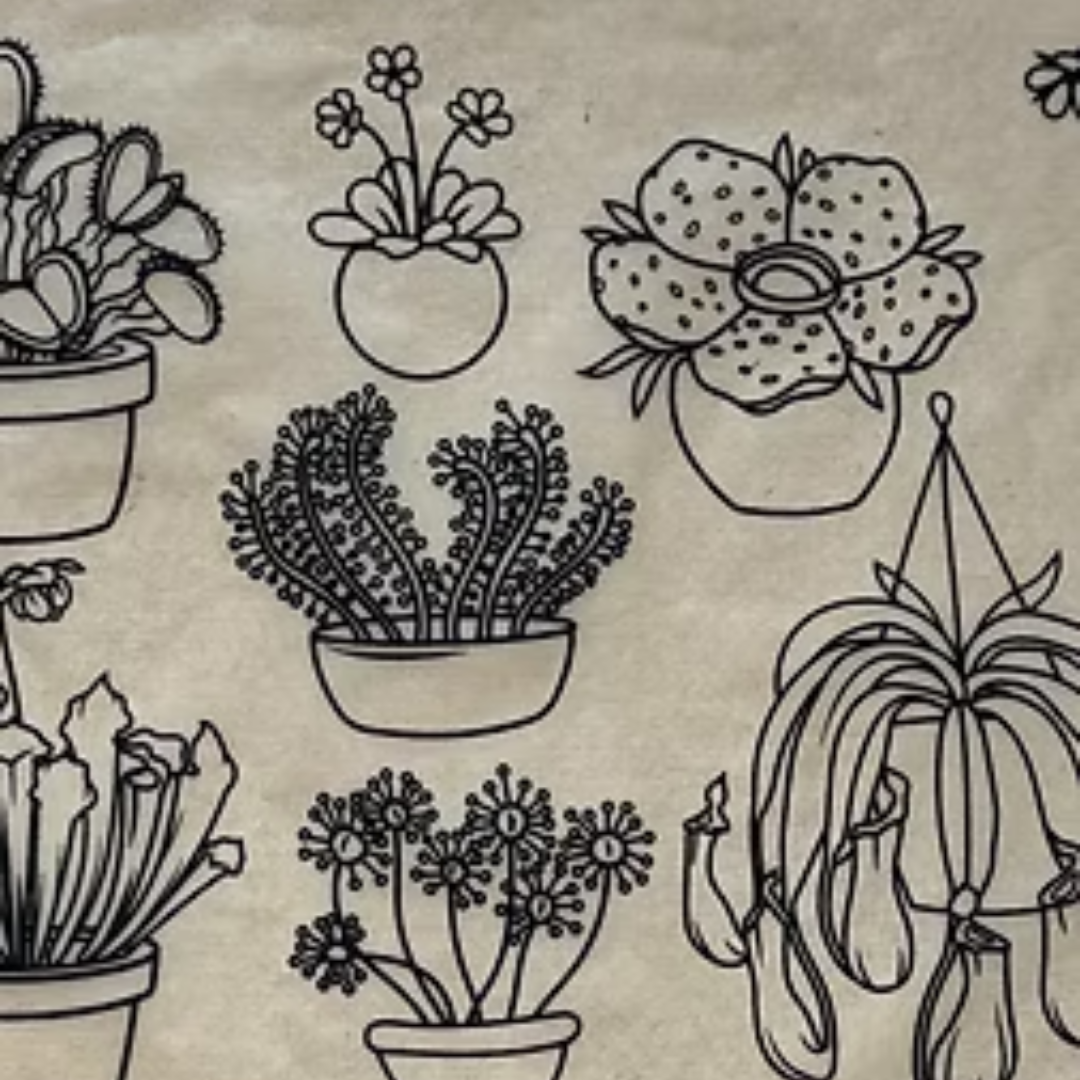 Ceramica Transfers - Predator Plants