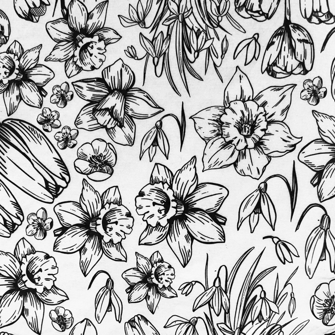Elan Transfers - Spring has Sprung
