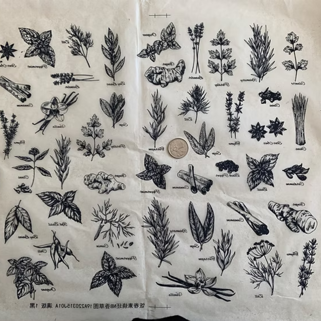 Ceramica Transfers - Herbs