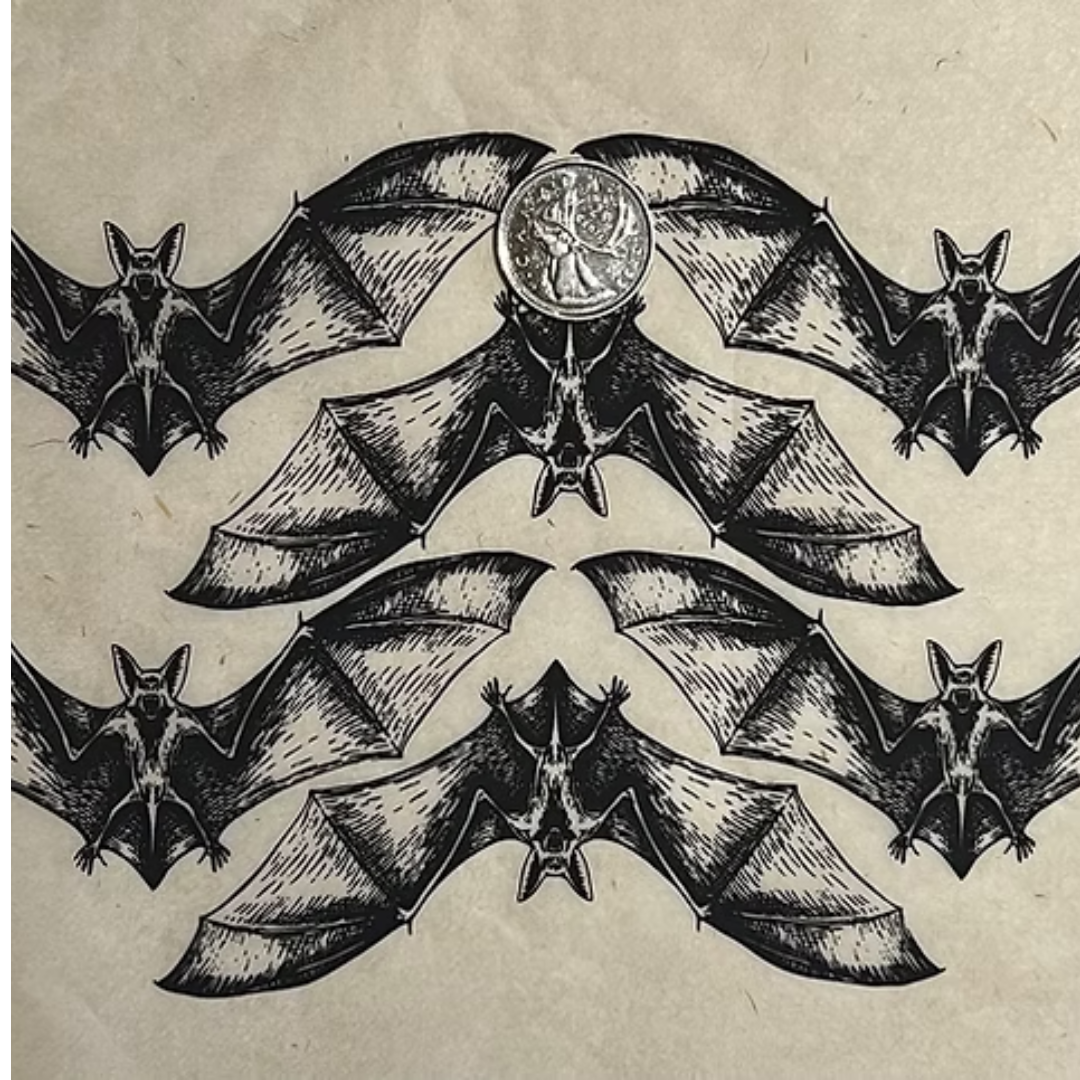 Ceramica Transfers - Bats
