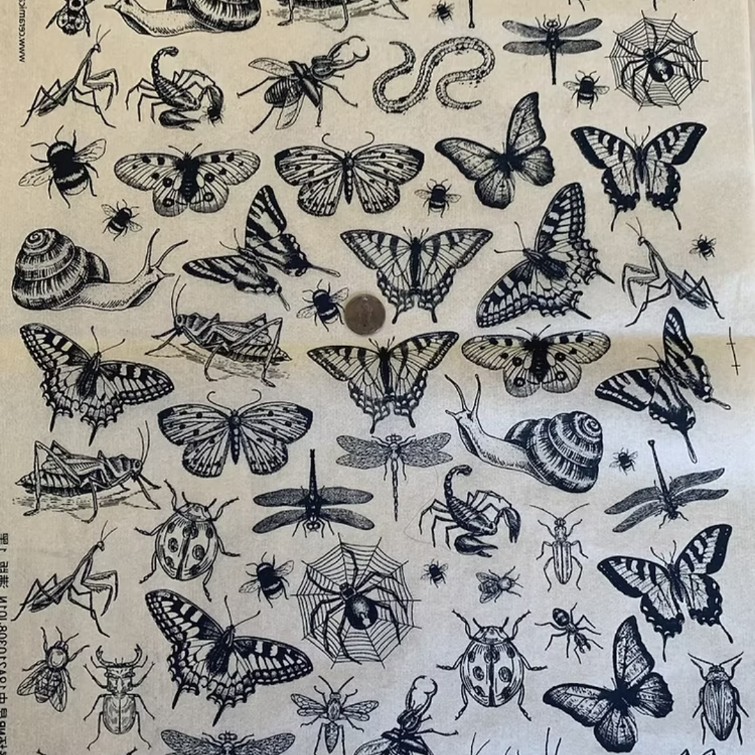 Ceramica Transfers - A Bug's Life