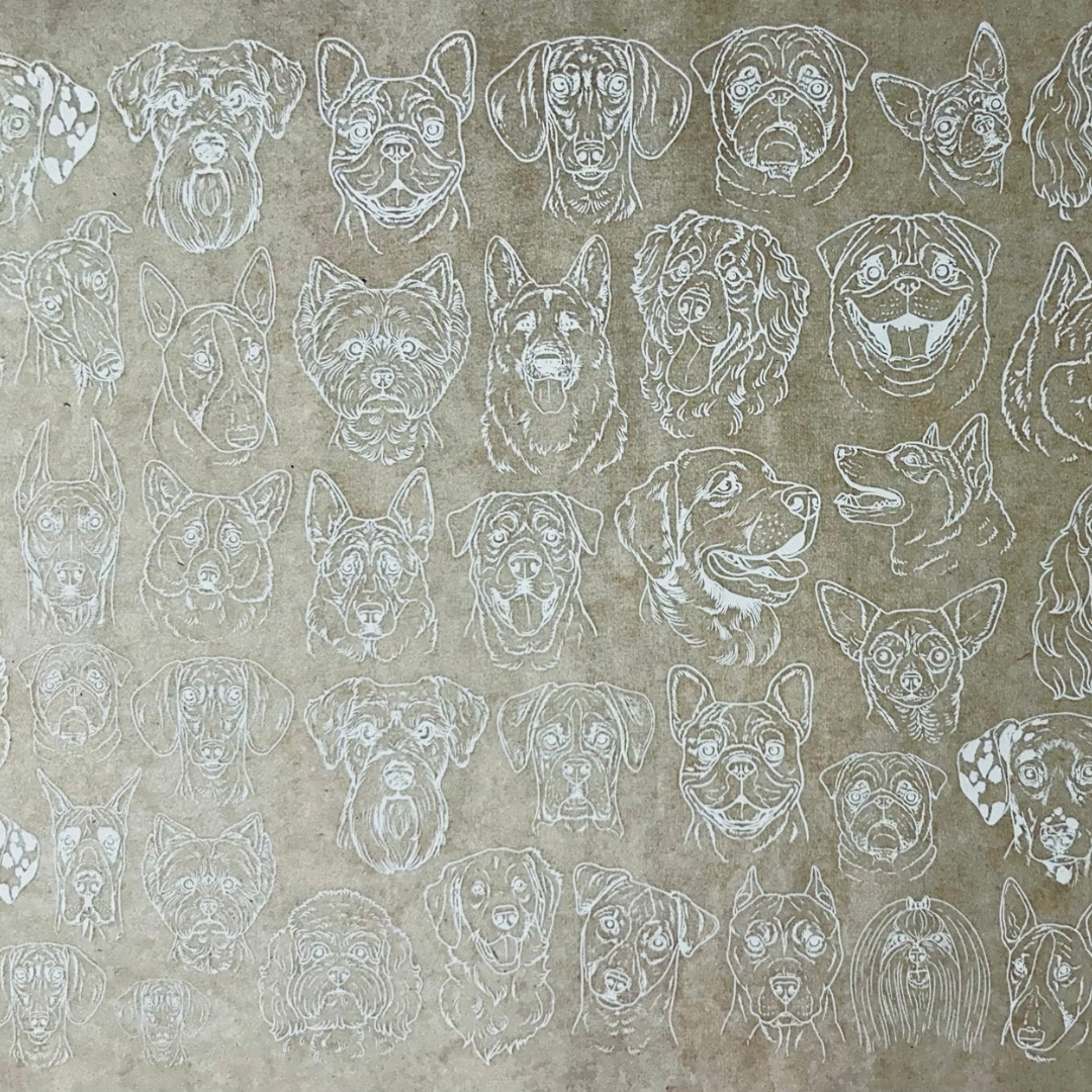 Transfer Pictures (1).png