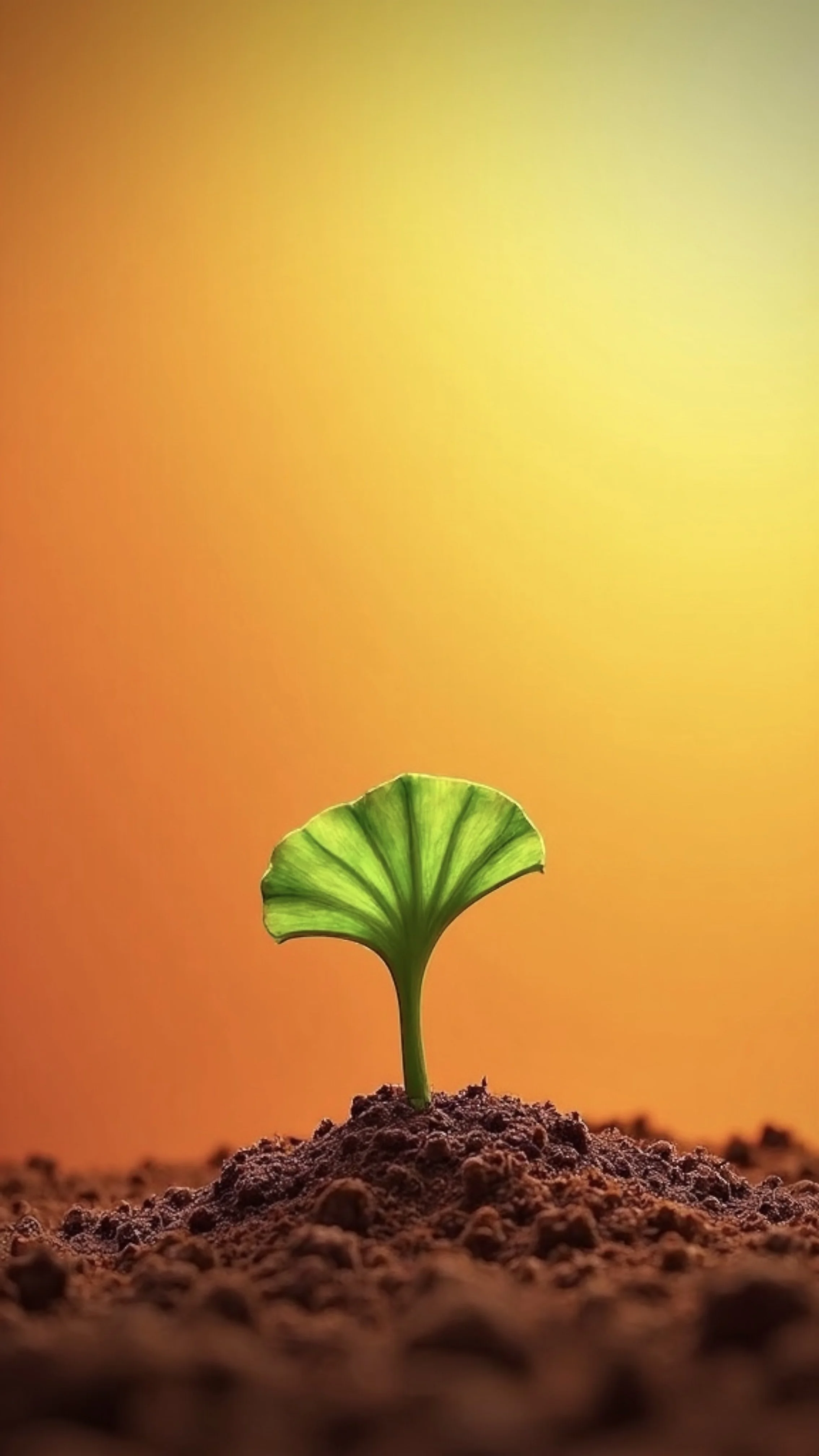 Seedling image for Grace, Sideways by Jack R. Reese