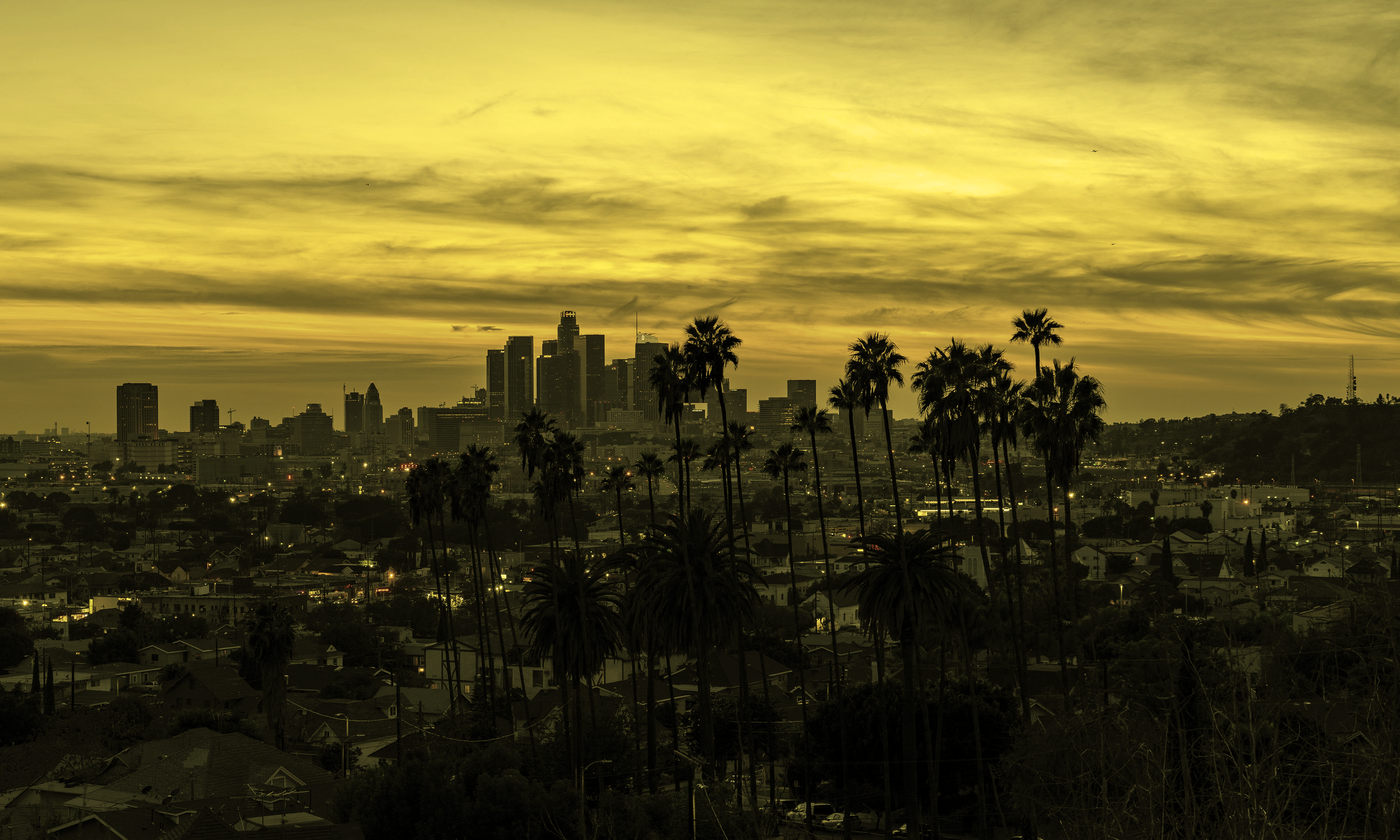 fb_banner.png