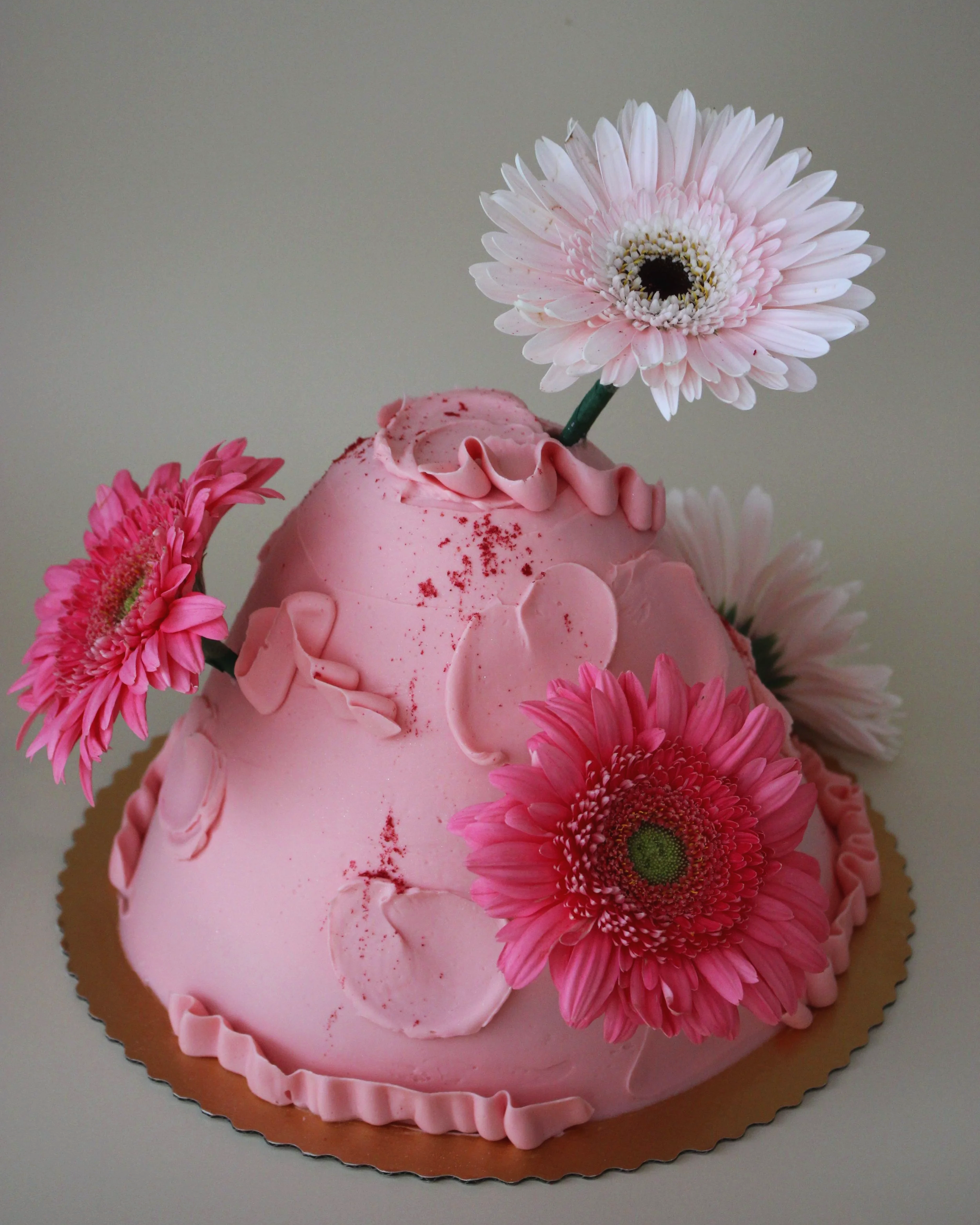 IMG_6540.png