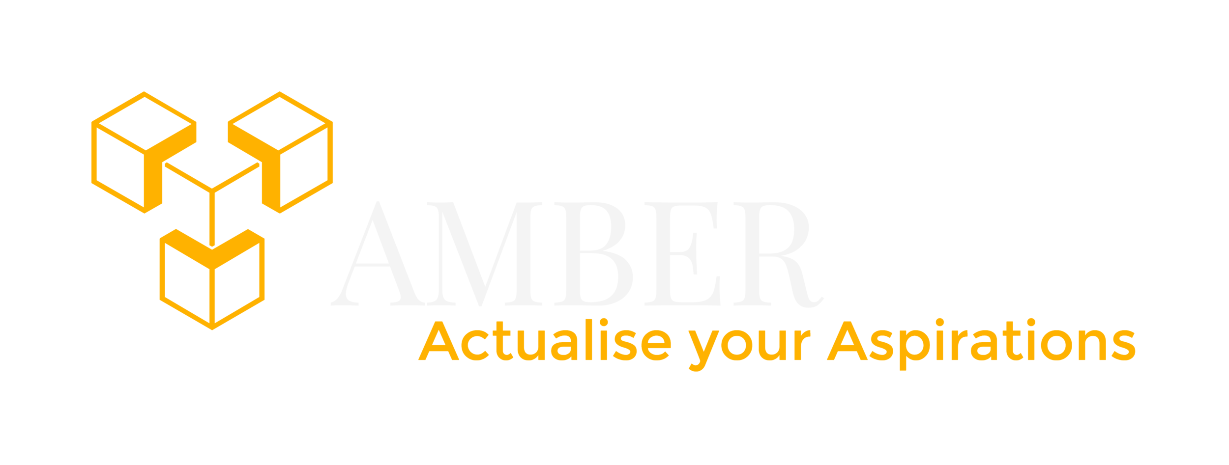 Amber Engineering Services