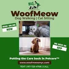 WOOFMEOW BROOKLYN NY