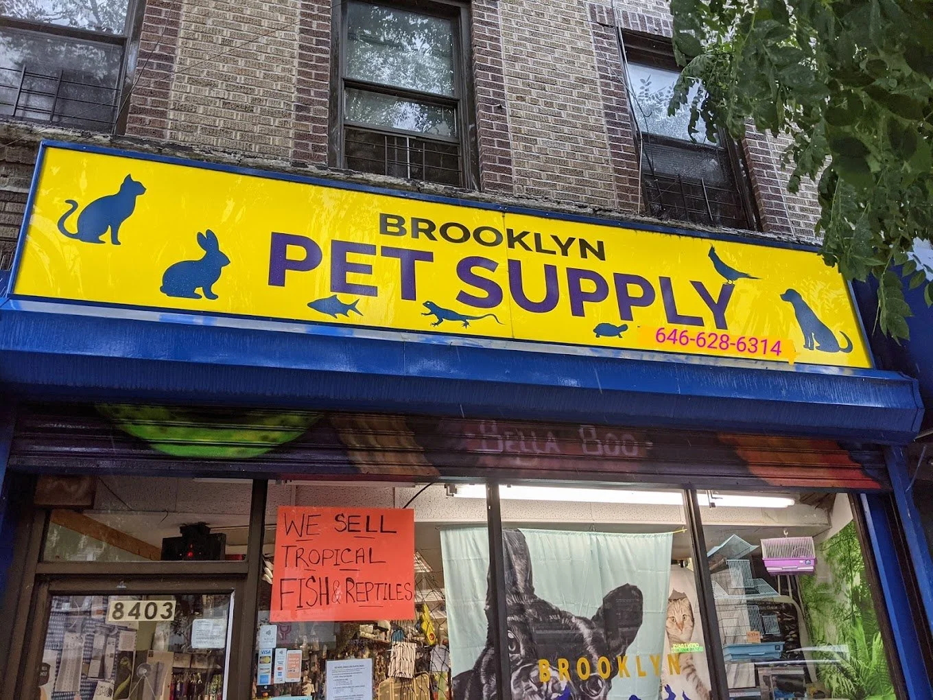 BROOKLYN PET SUPPLY 8403 5th AVENUE