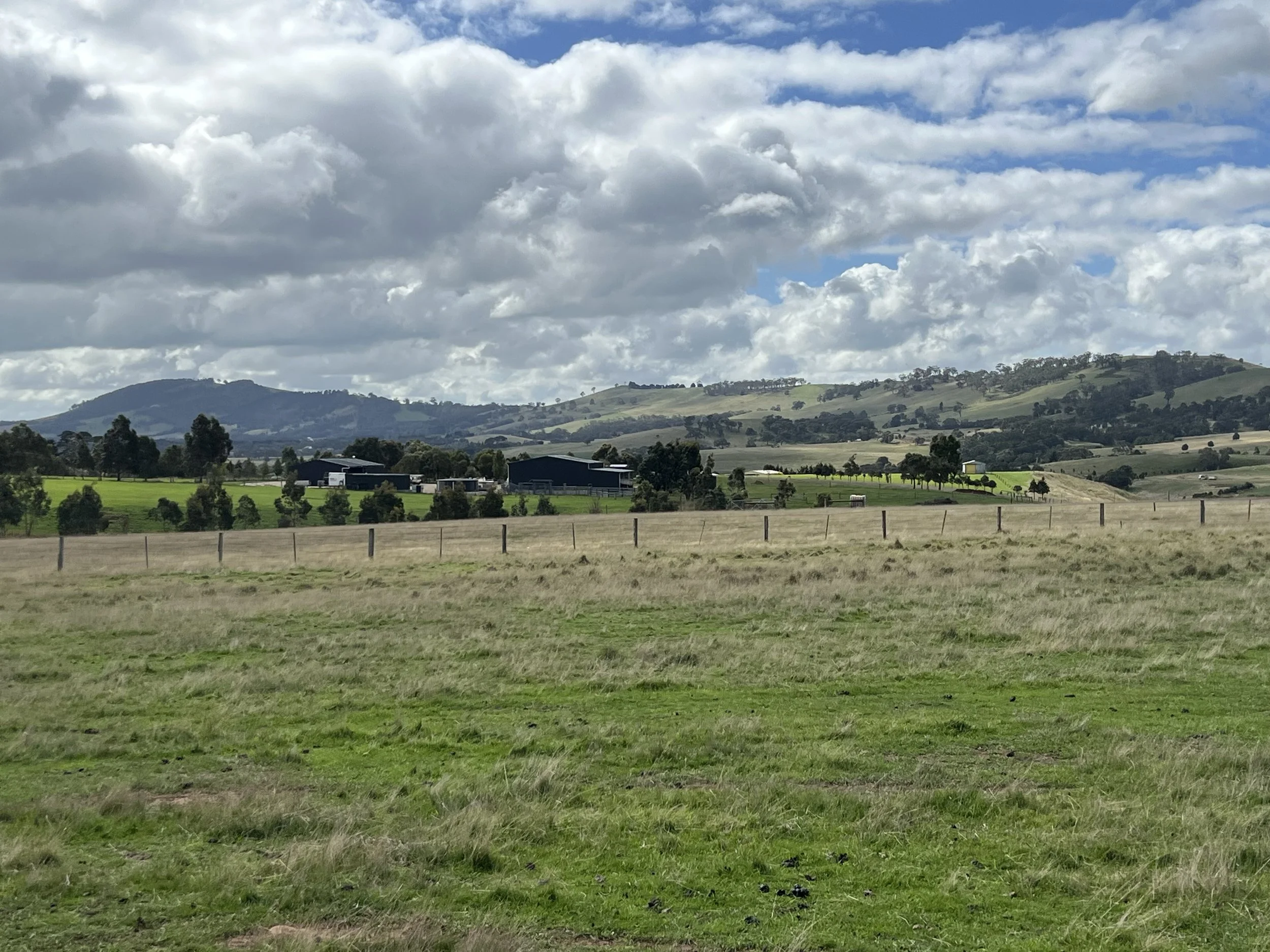 IMG_0478.jpeg