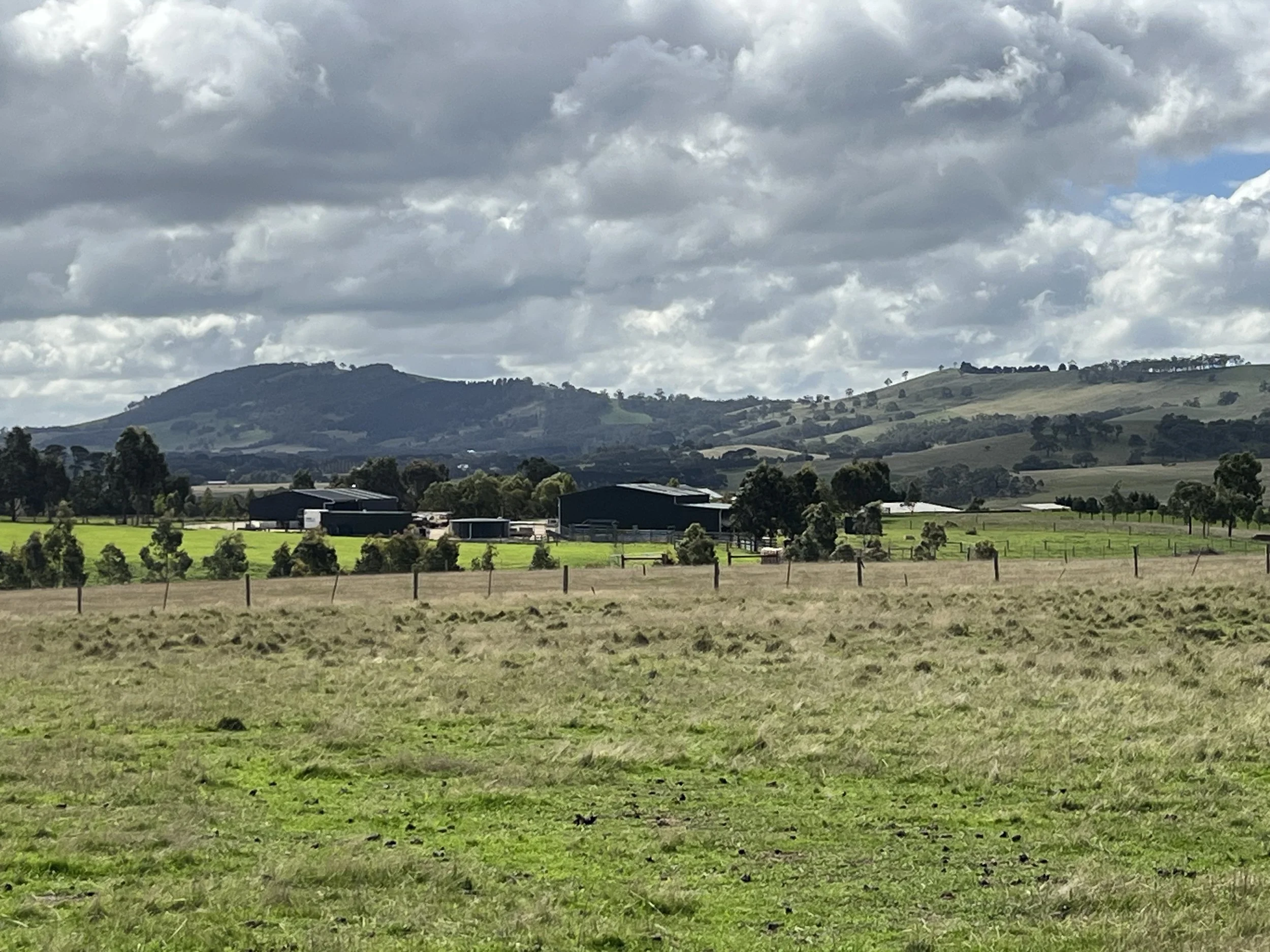 IMG_0473.jpeg