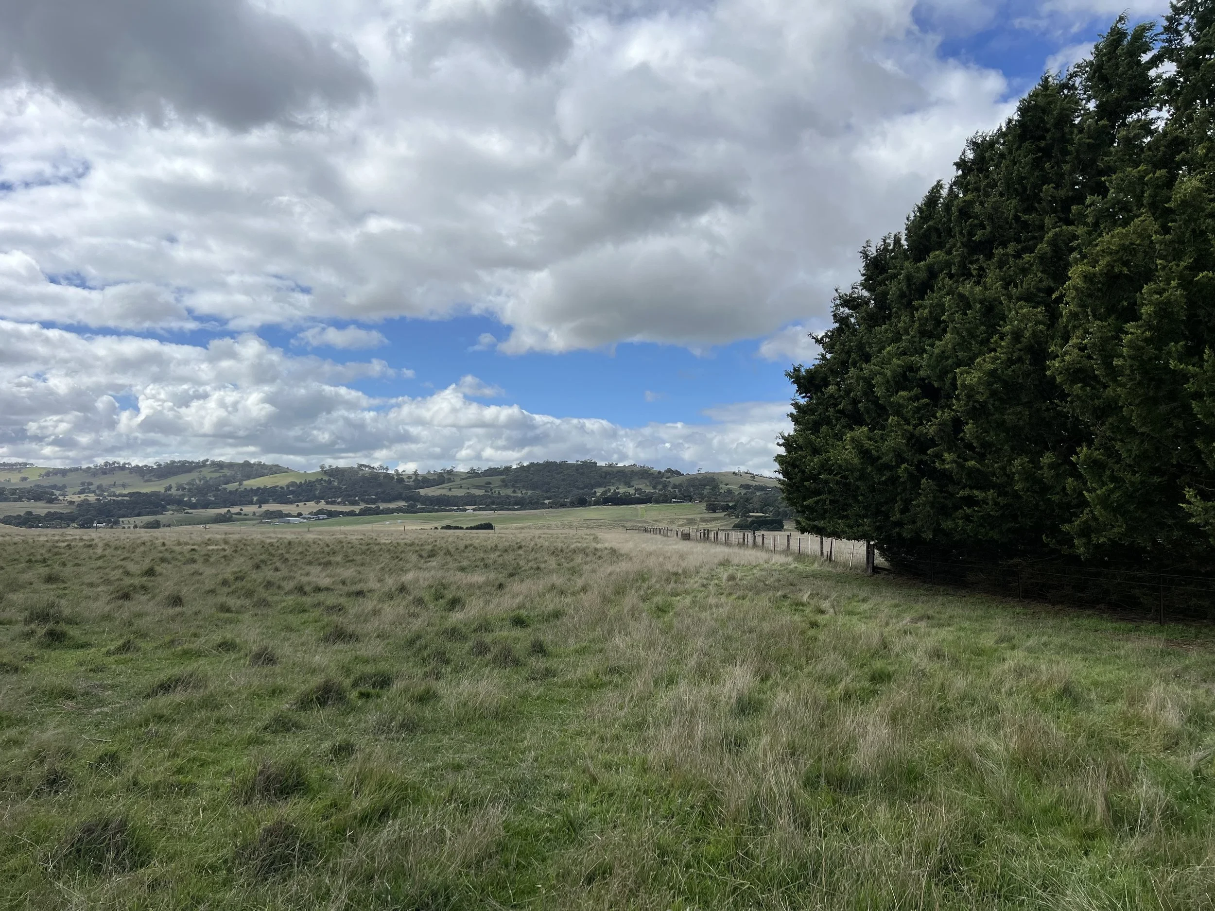 IMG_0462.jpeg