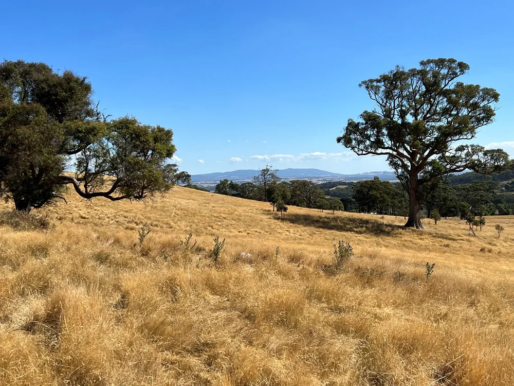 LancefieldPyalong Road, Goldie Keatings Real Estate