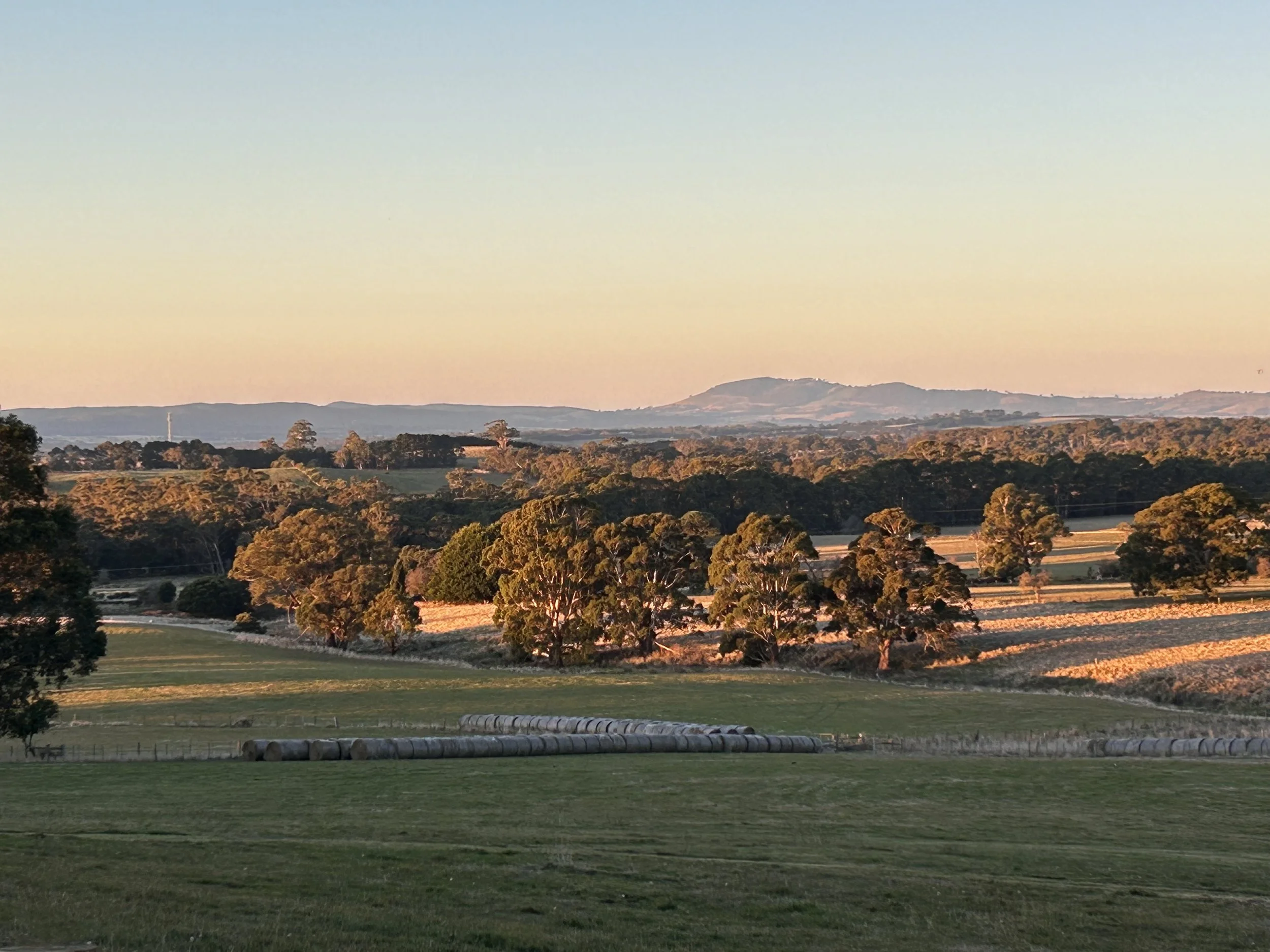 Mt William View.jpeg