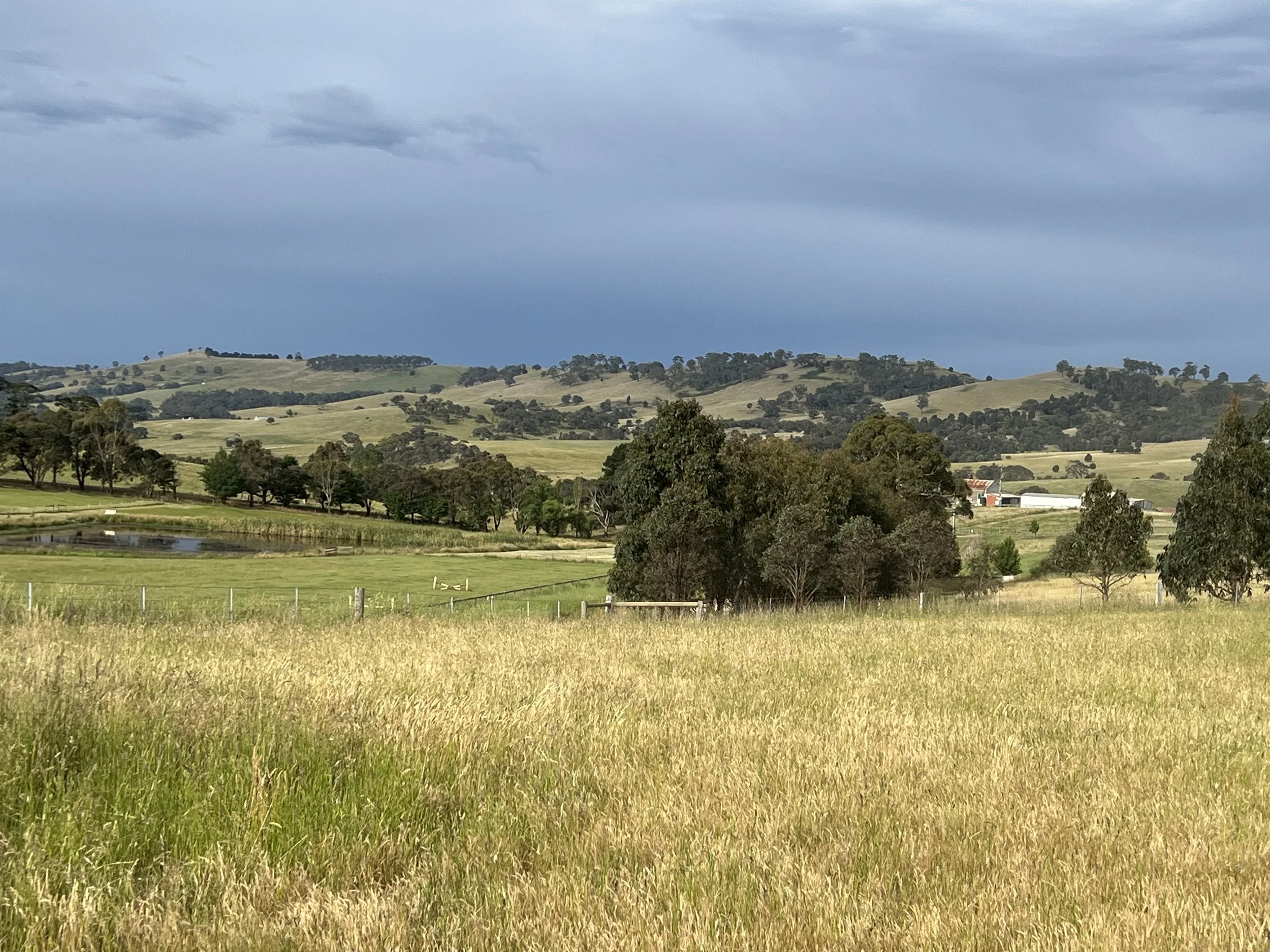 Buy Keatings Real Estate