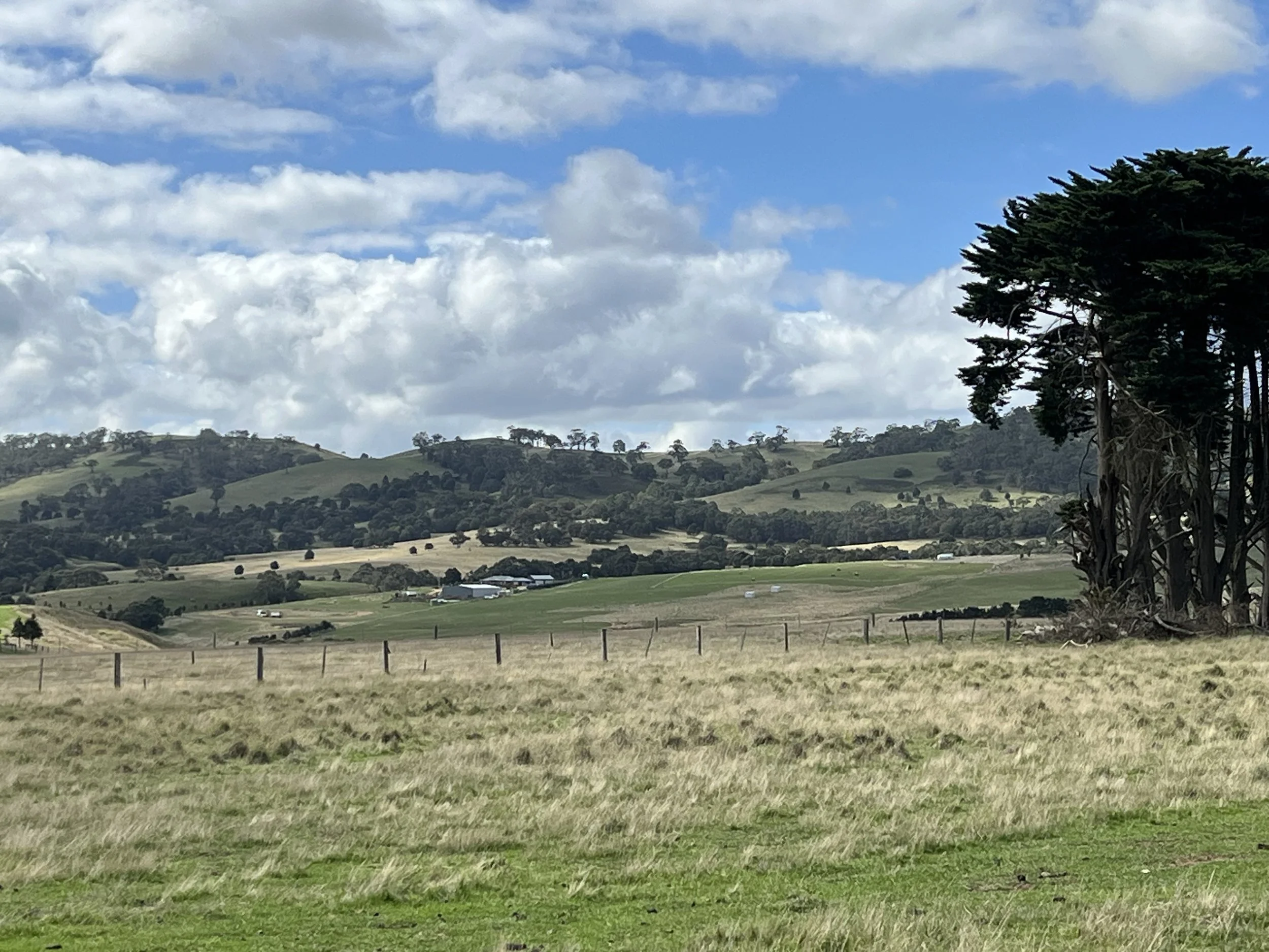 IMG_0477.jpeg
