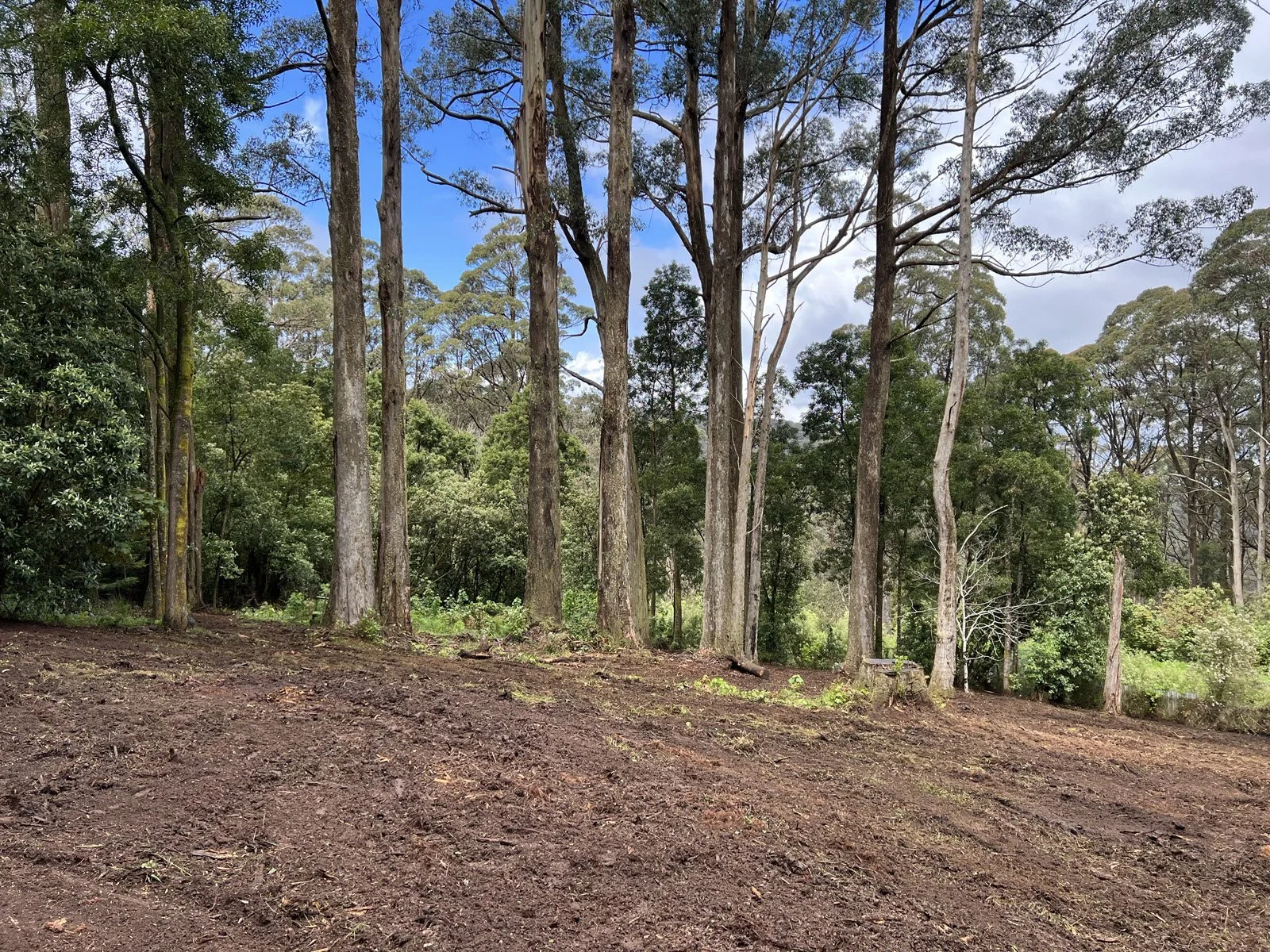 Buy Keatings Real Estate