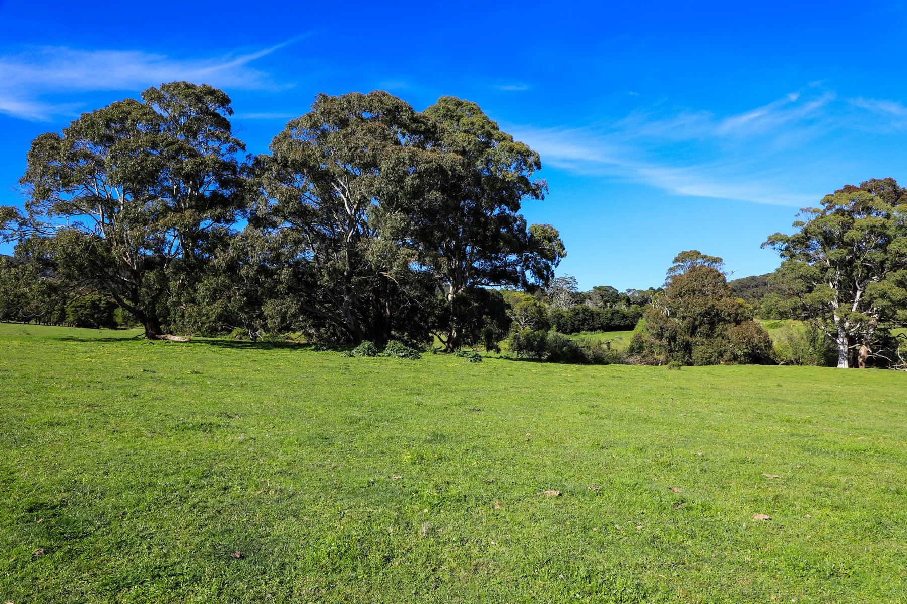 1U6A9463-19.jpg