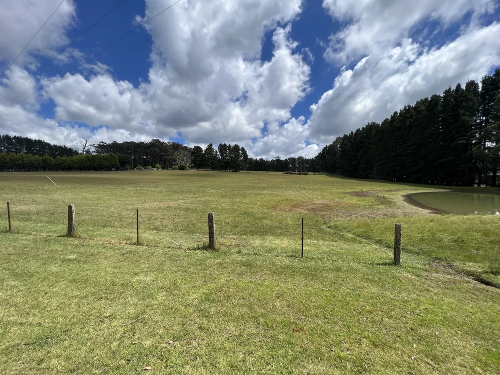 Buy Keatings Real Estate