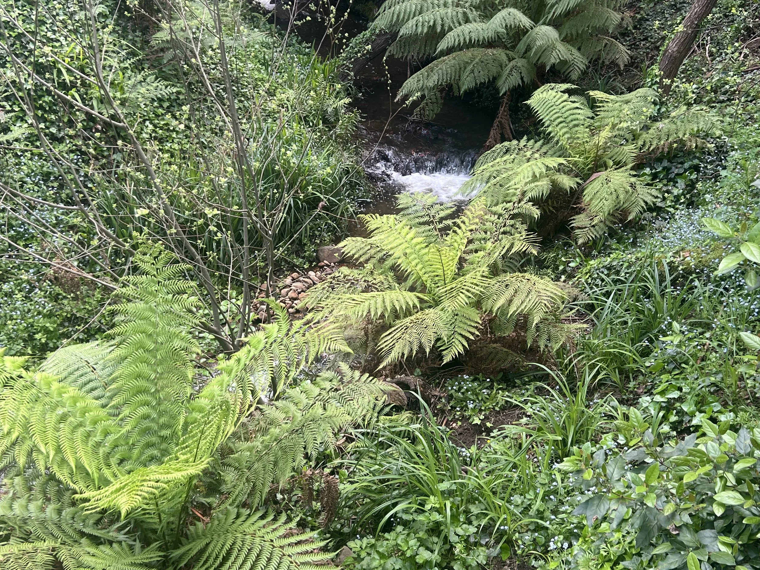 IMG_3732.jpeg
