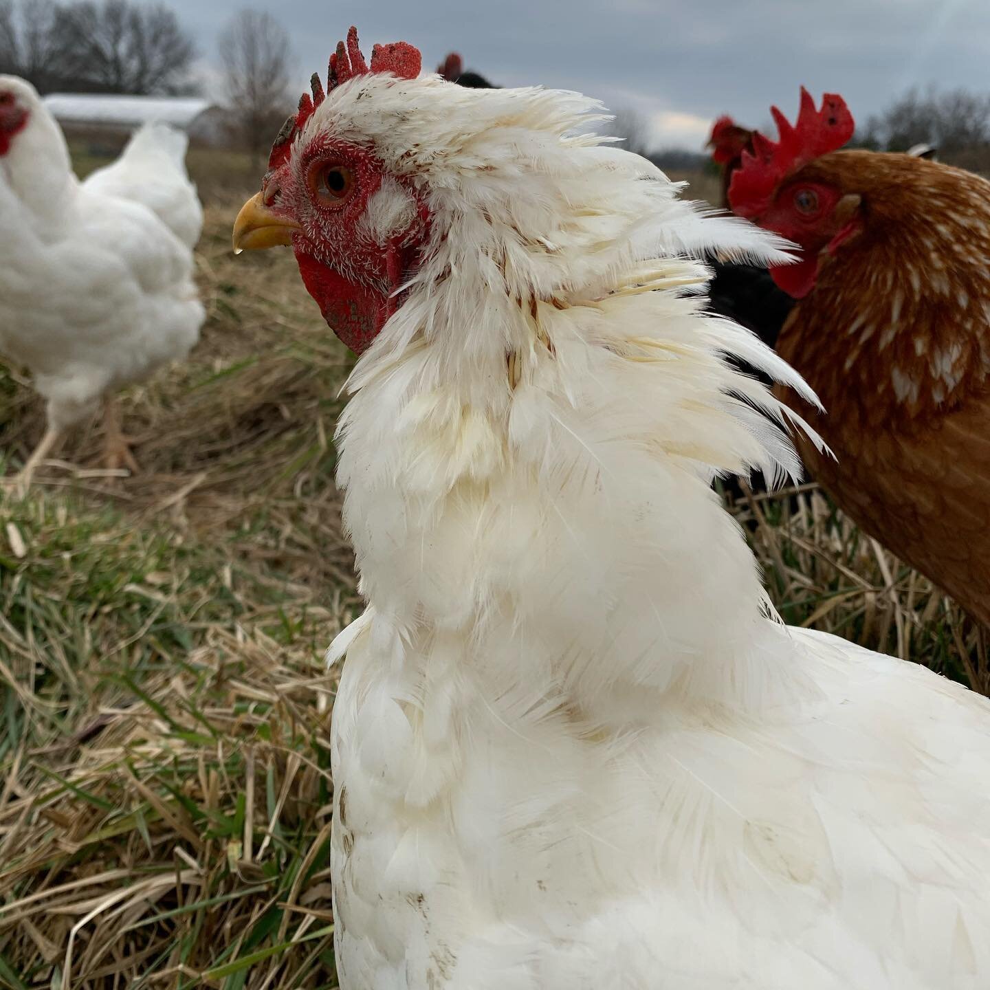 The girls wanted to say &ldquo;hi!&rdquo;