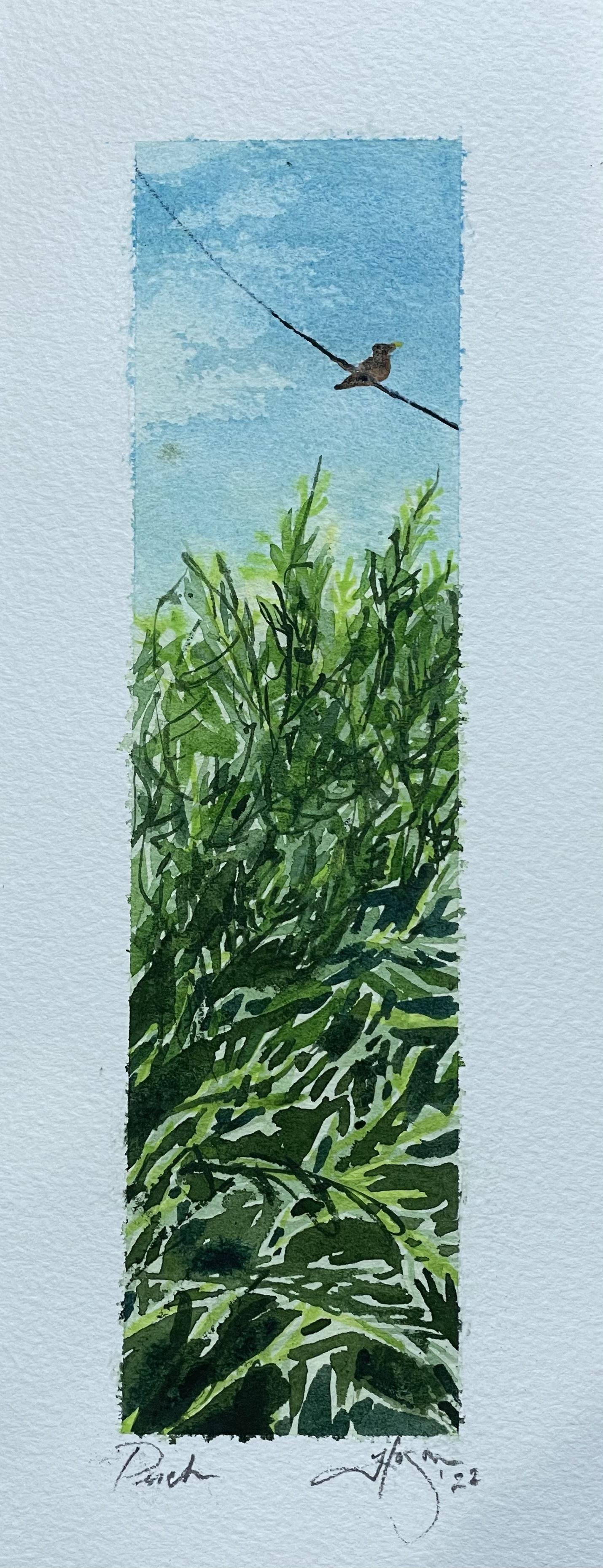 Perch (2022)