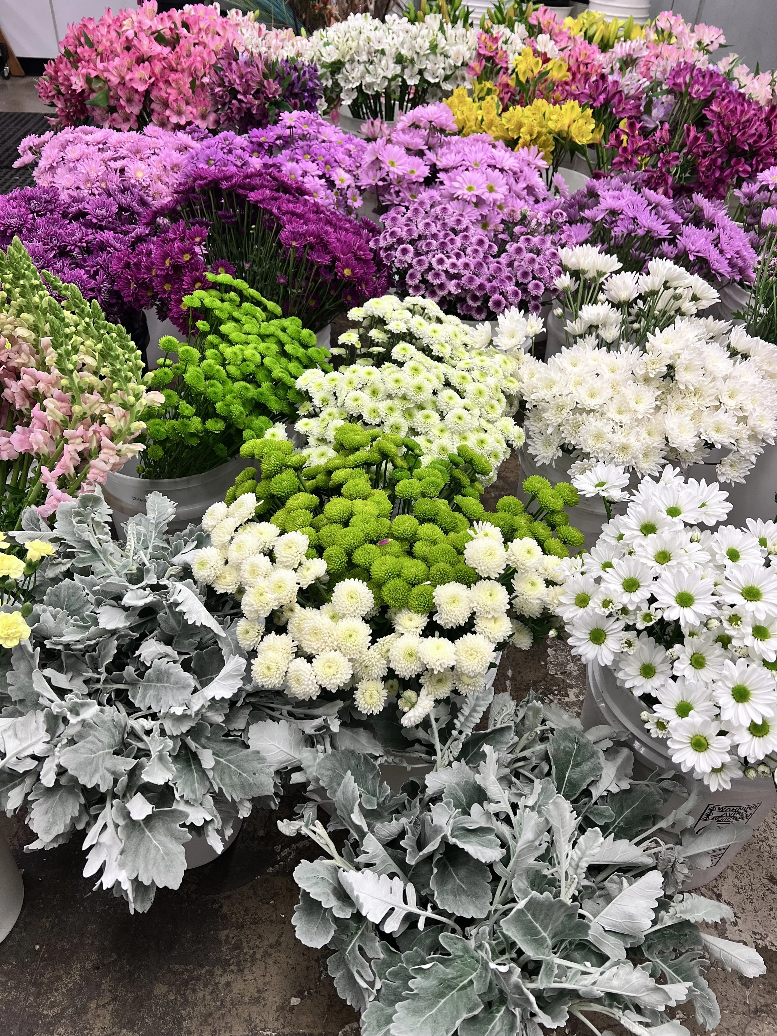 flowers2.jpg