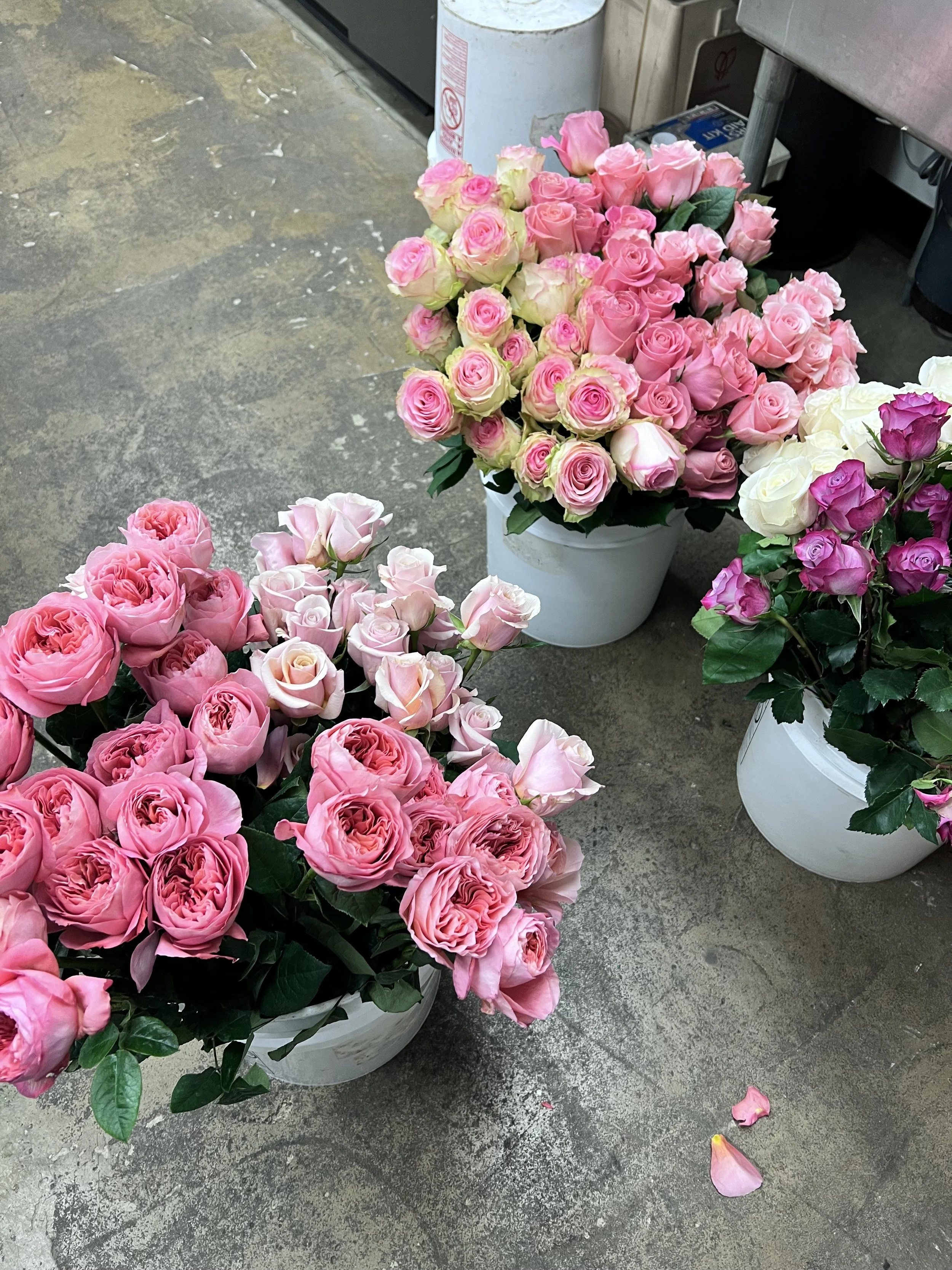 flowers1.jpg