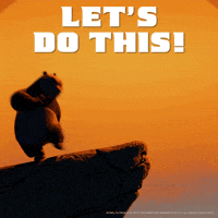 Bear sitting on a rock at sunset with the text "Let's do this!"