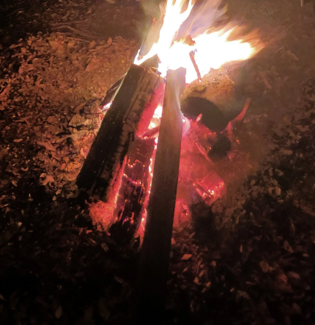 Stories from the Field