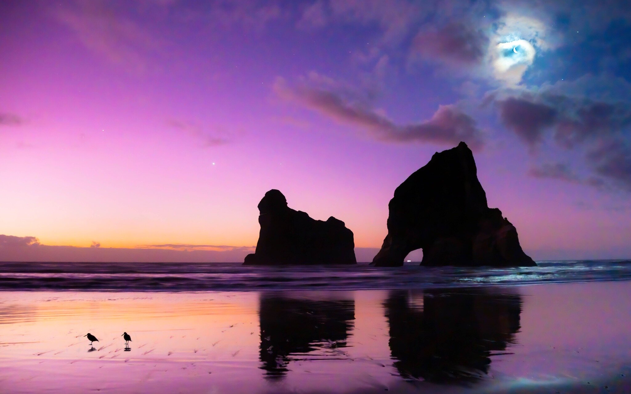 Wharariki - one of our favourite beachs. If you haven't been there, why not add it to your bucket list #erinroughtonphotography #proteanart #goldenbay #nzphotography #nzbeaches #landscapephotography #nzrocks #nzgallery #nelson