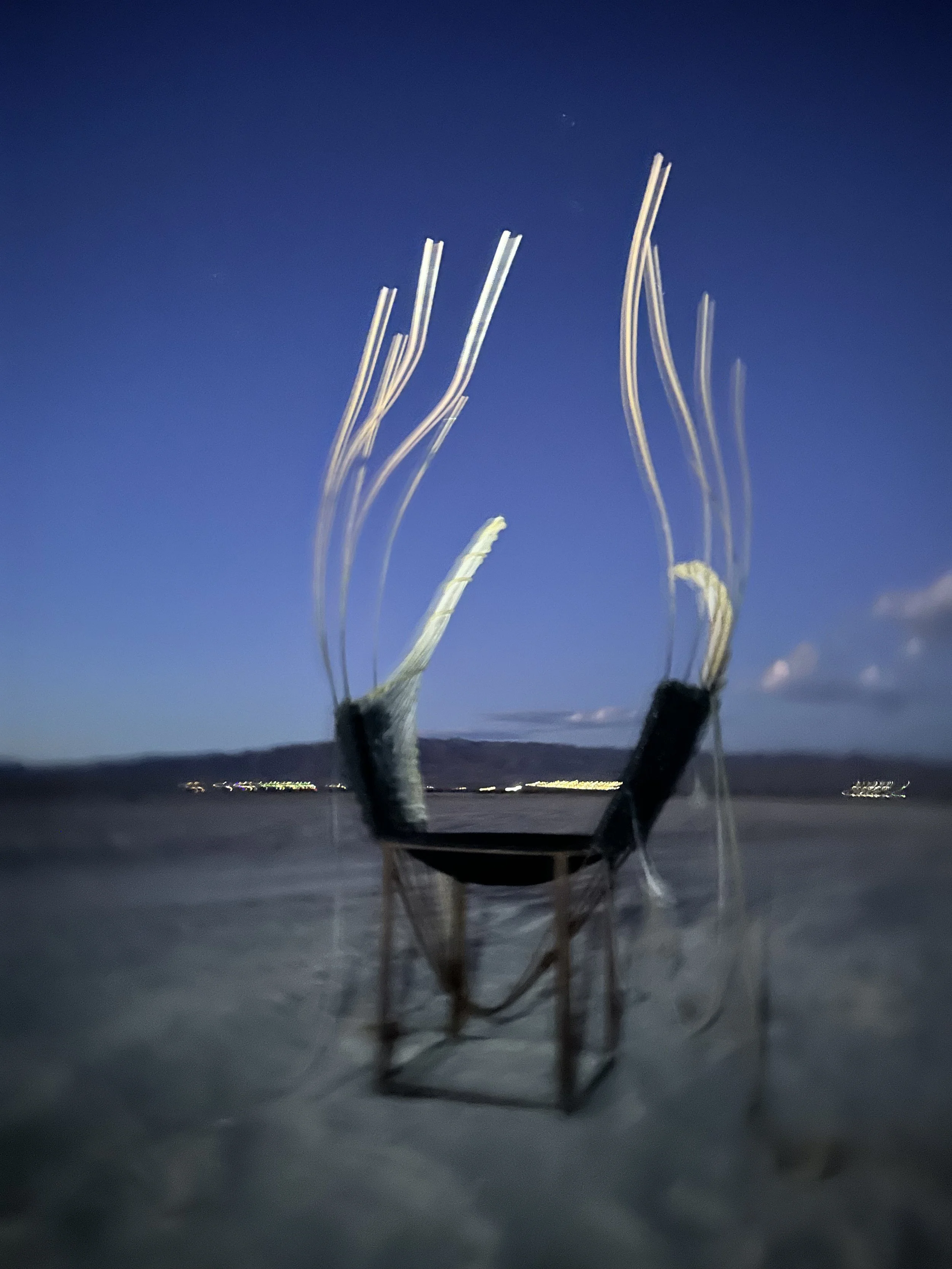 IMG_9926.jpeg