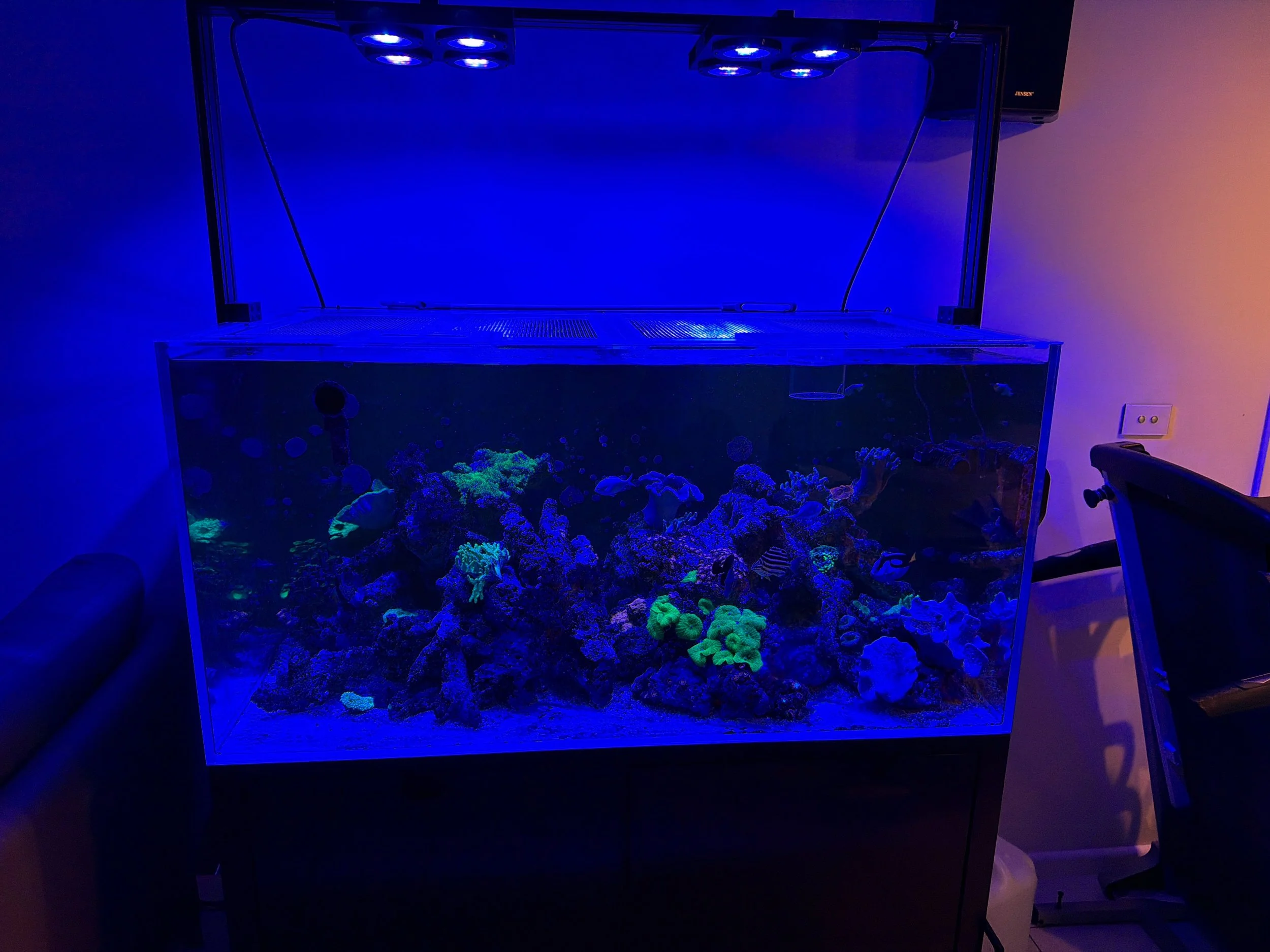 AquaCam_D02307AD 2.jpg