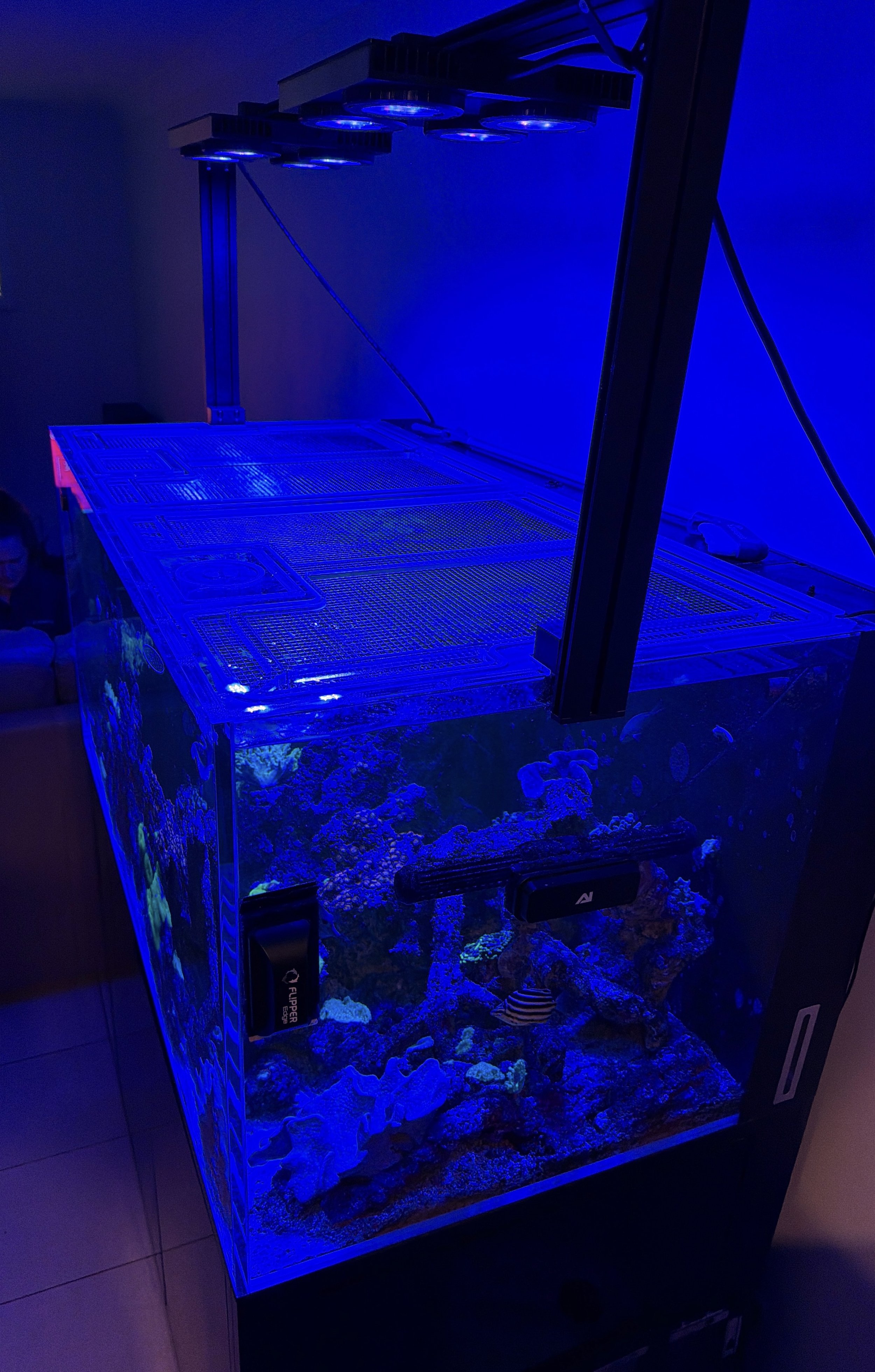 AquaCam_F09CB7D3.jpg