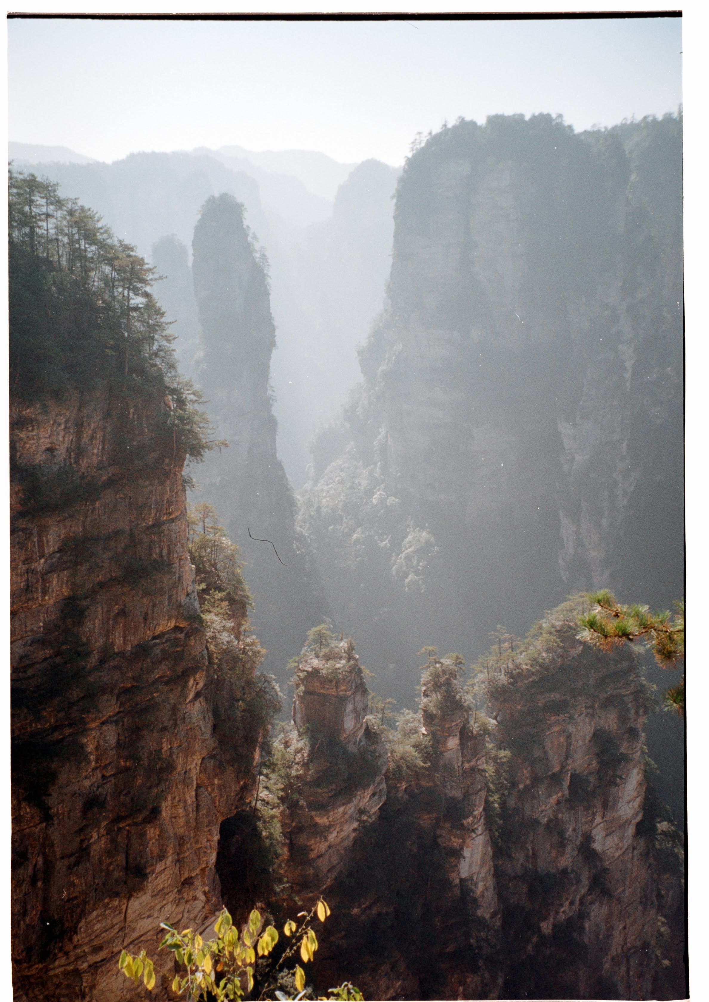 Zhangjiajie Forest Park - Avatar Mountains