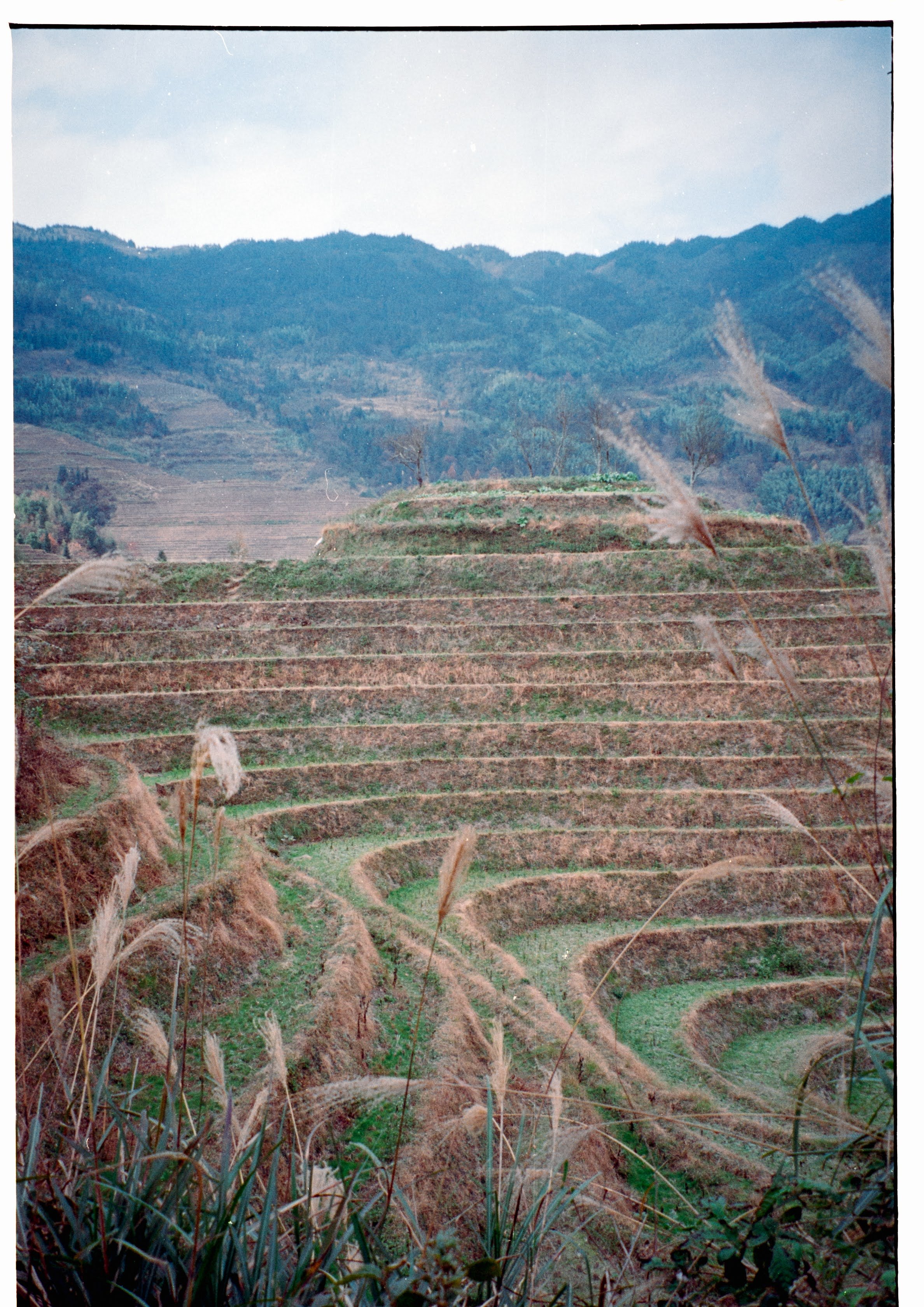 Guilin Rice Terraces