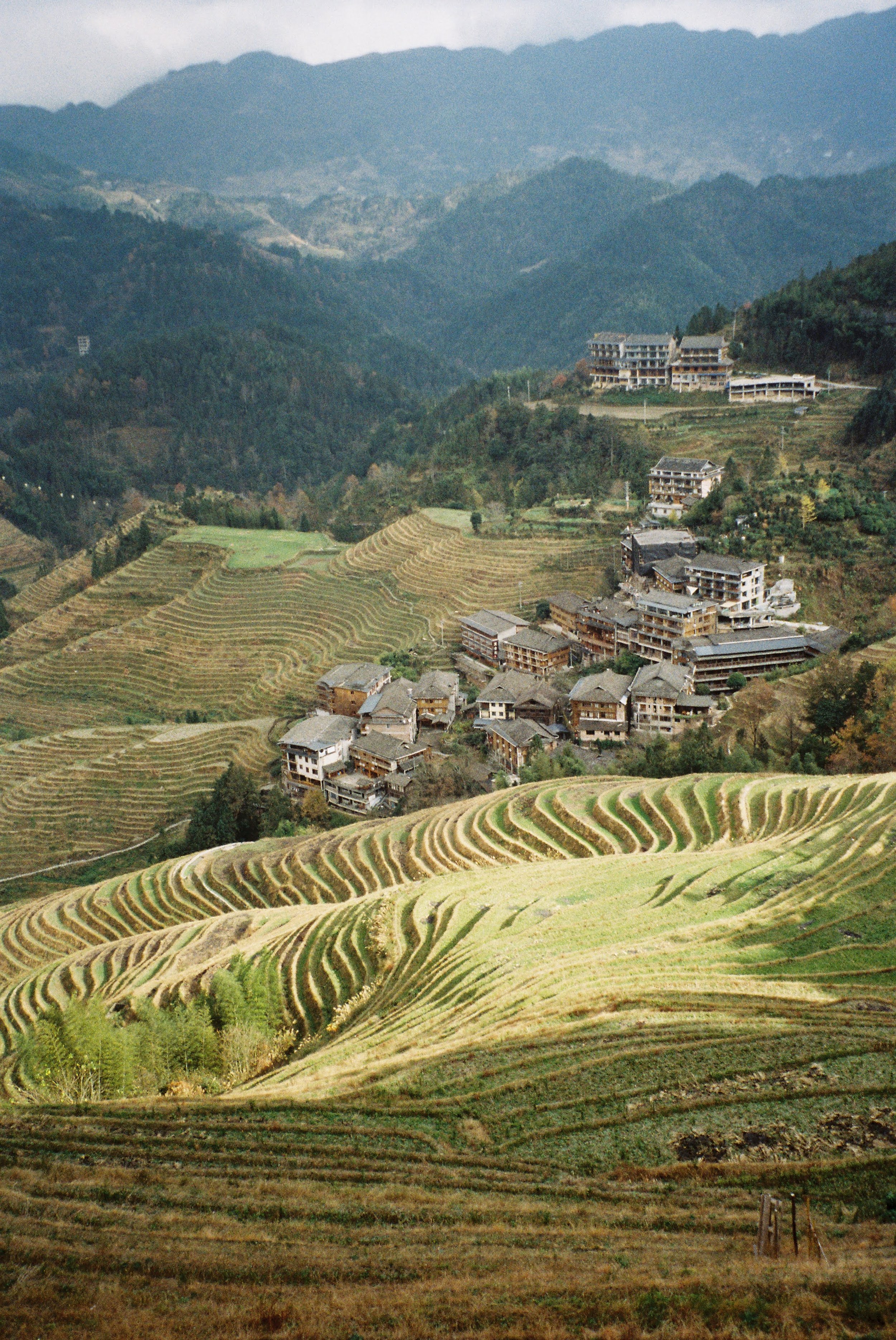 Guilin rice terraces