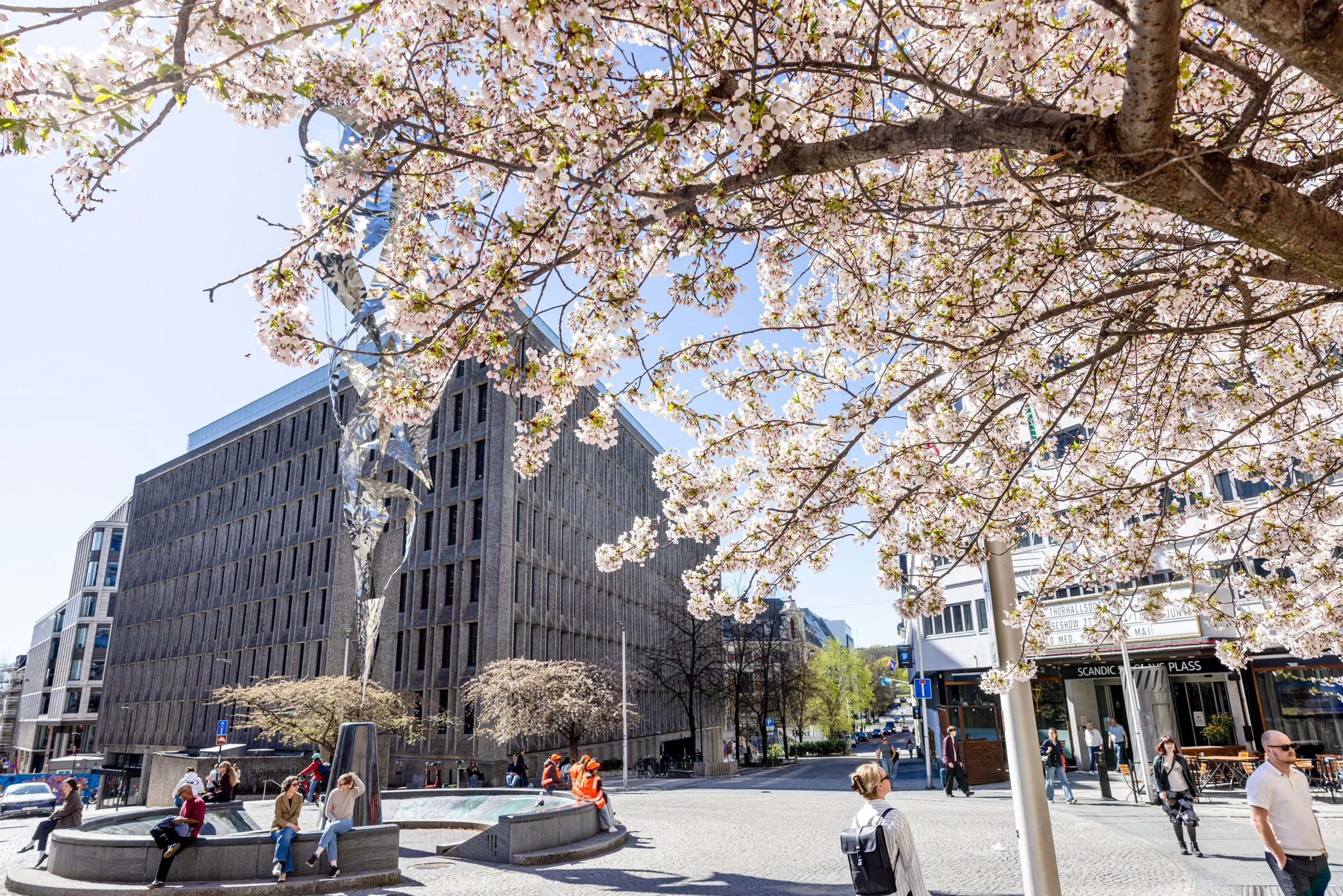 Blomstring for fullt