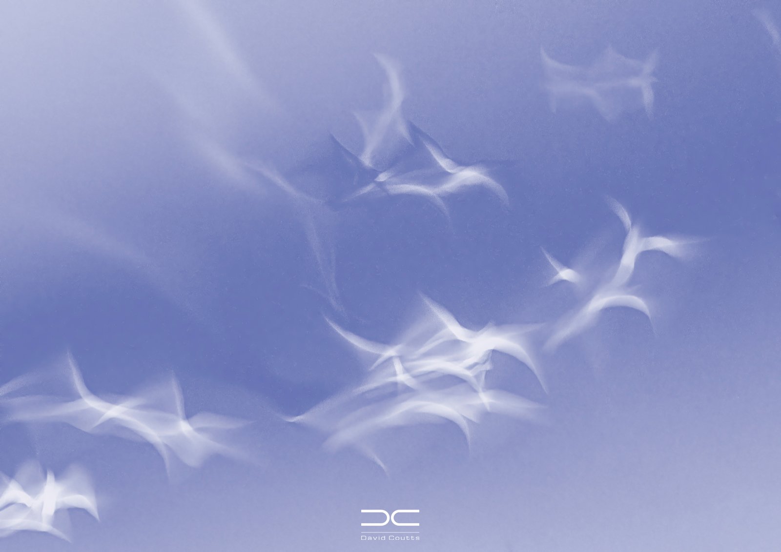 ICM Gulls.jpg