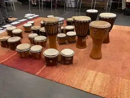 tambores musicoterapia