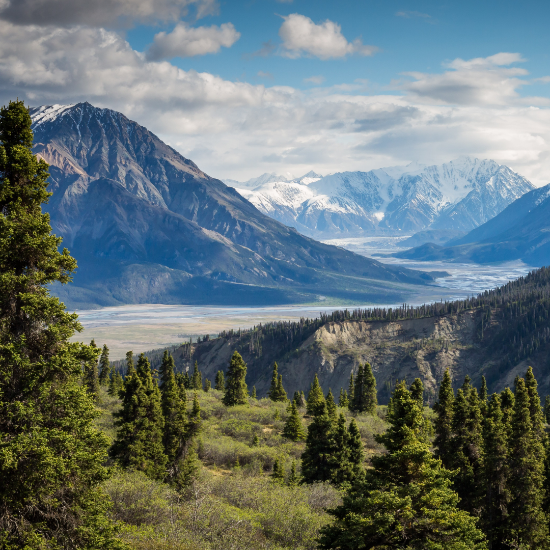 Mountain View Bookkeeping