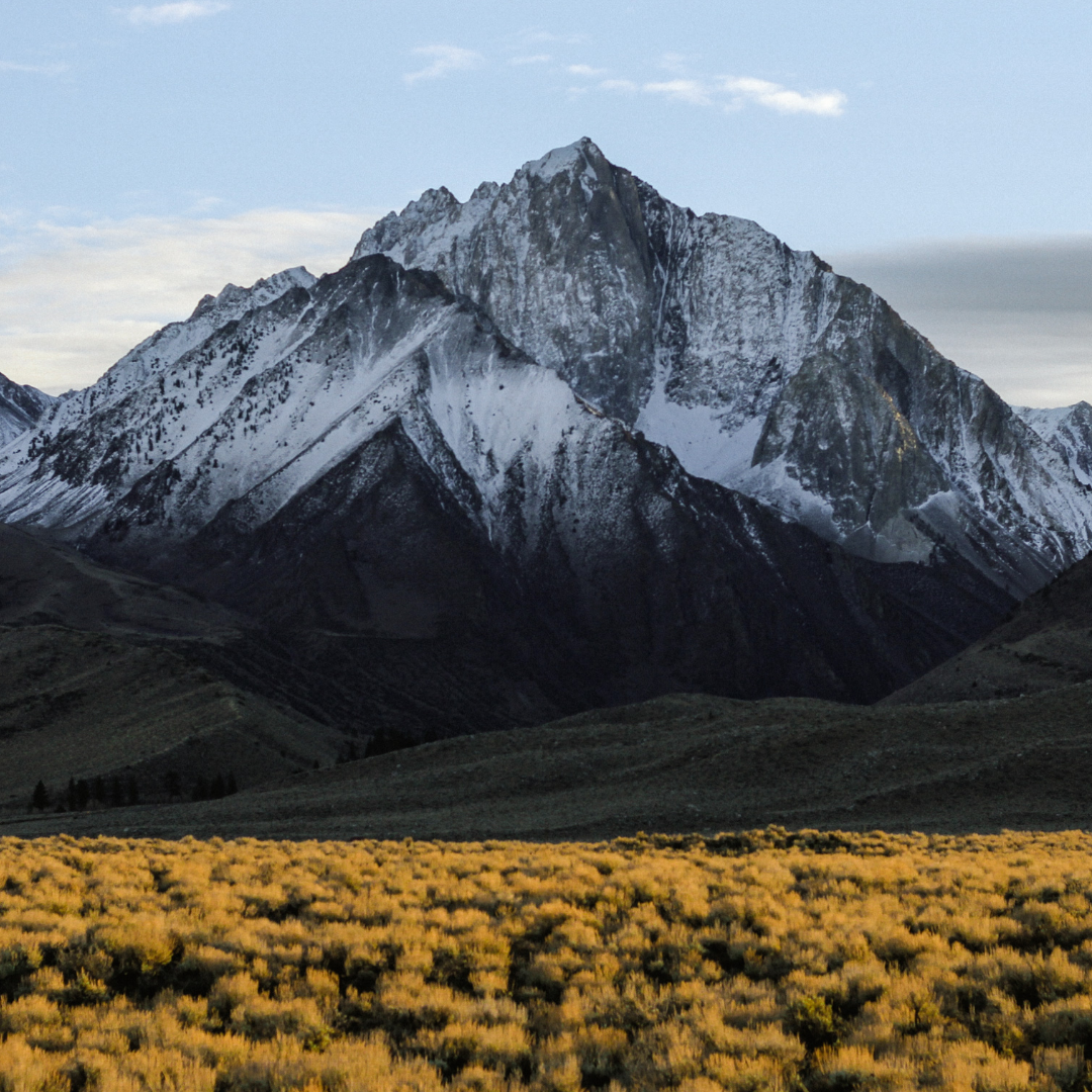 Mountain View Bookkeeping