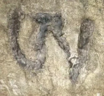 The Twenty-One Semdzins of the Dzogchen Tradition