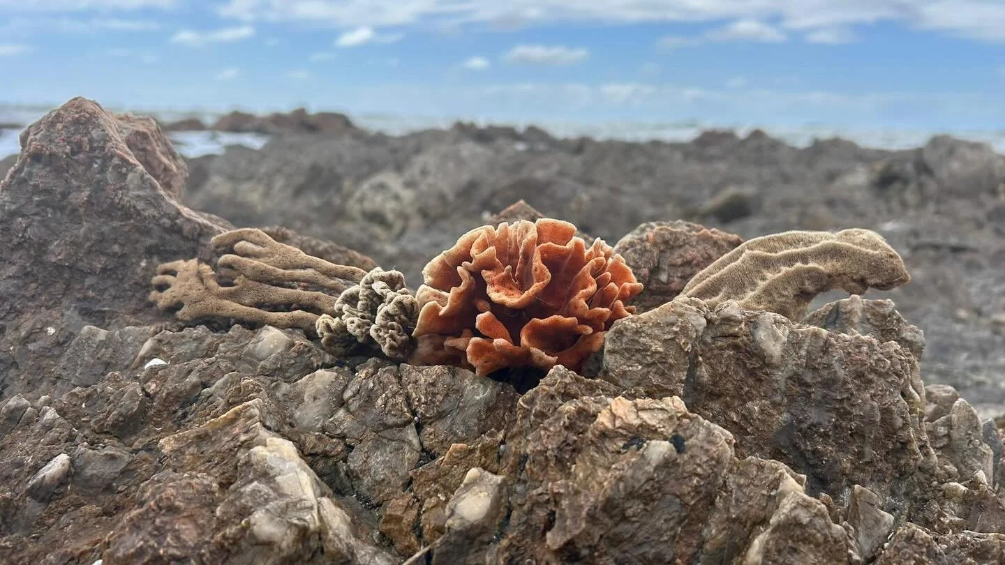 As the year comes to a close, I keep returning to why I photograph in the first place.
Not just for perfect images or curated galleries, but for the moments around them. The pauses. The people. The small details that ask me to slow down and really lo