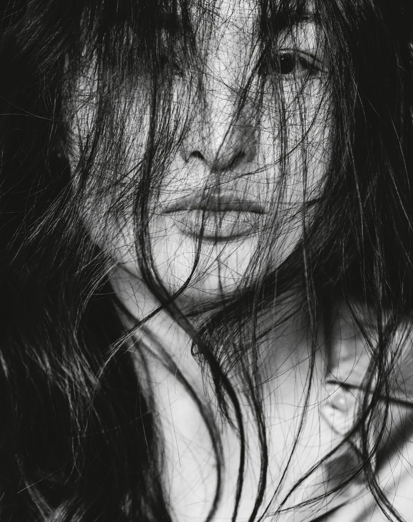 Veiled with wild grace

#melbourneportraitphotography 
#melbournephotographer 
#portraitphotography 
#melbourneportraits 
#melbournemodels 
#melbournephotography 
#portraitpage 
#igportrait 
#melbournelife 
#portraitphotographer 
#melbourneheadshots 